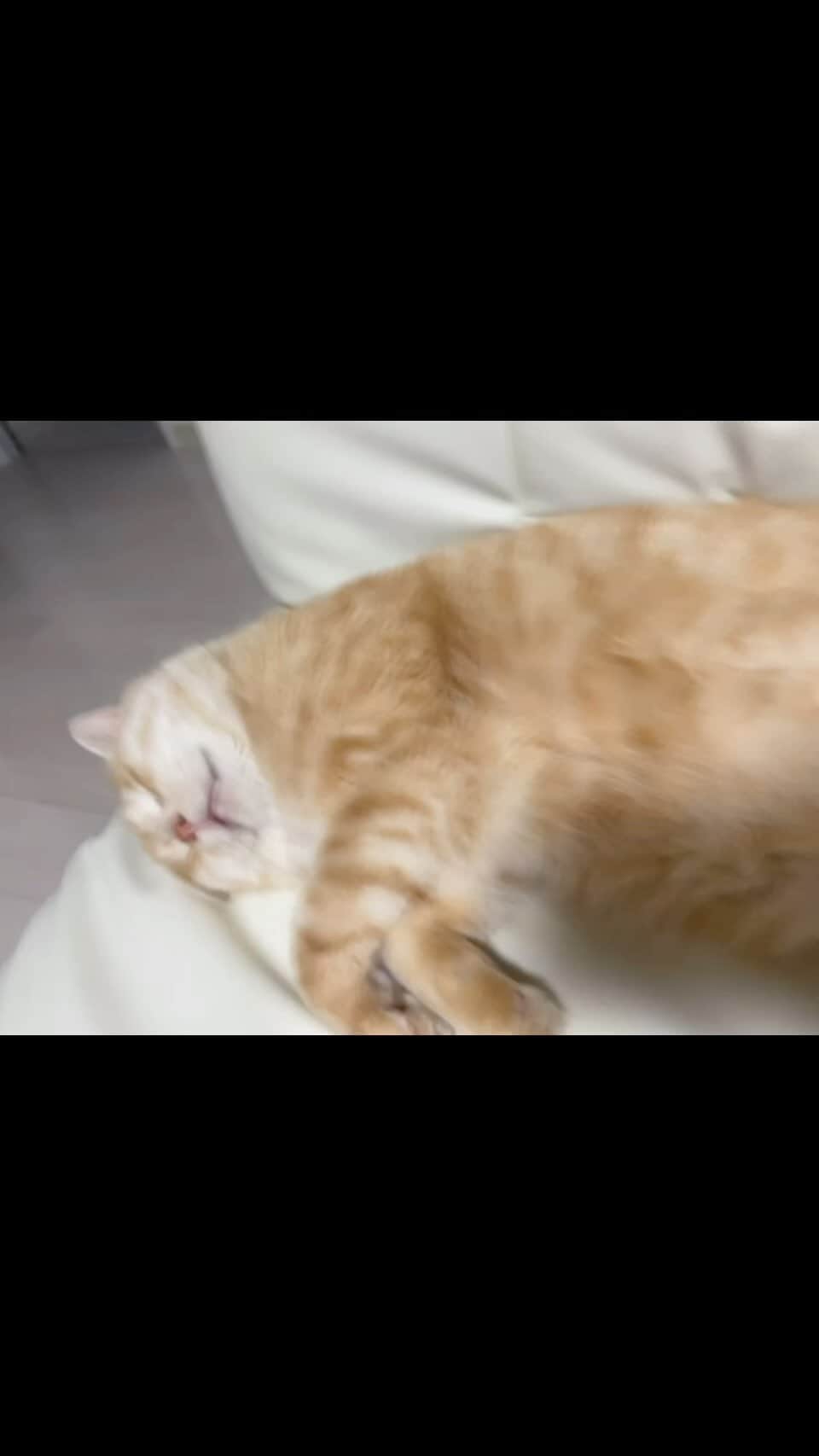 水城百合のインスタグラム：「. . 😪💤 . .」