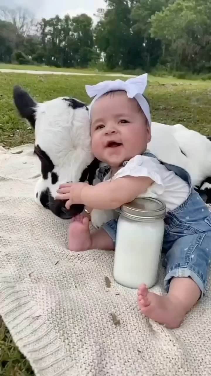 Cute baby animal videos picsのインスタグラム