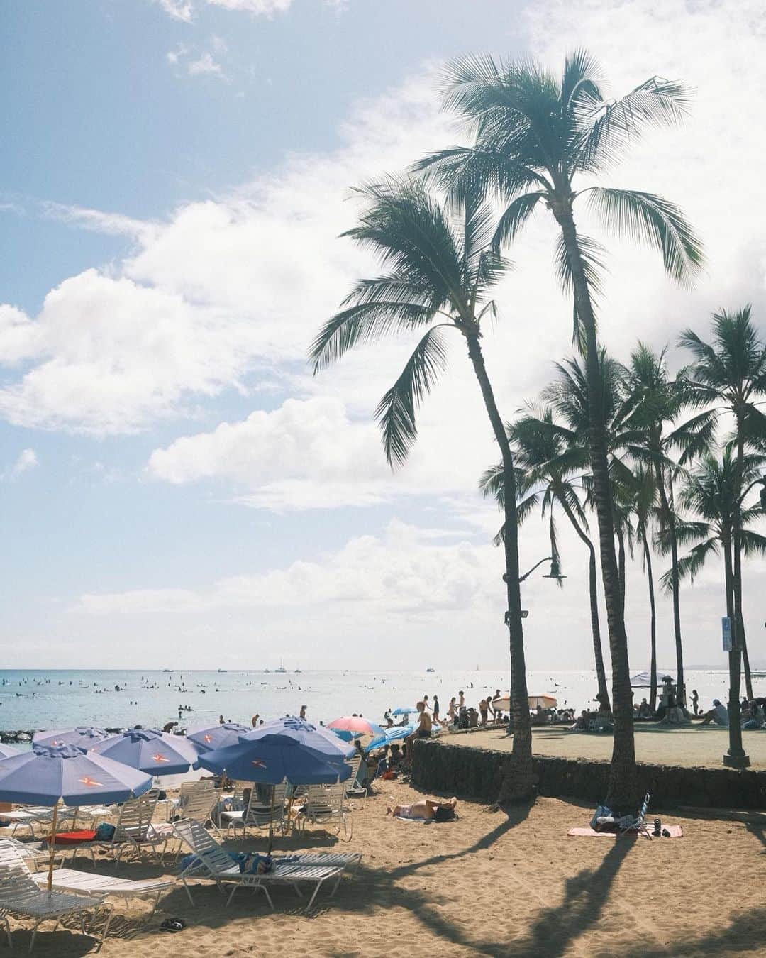 Cody Higaさんのインスタグラム写真 - (Cody HigaInstagram)「Hawaii now  今週から夏休みに入ったので、ハワイに来ました🤙🏻」6月30日 5時35分 - cody.1222