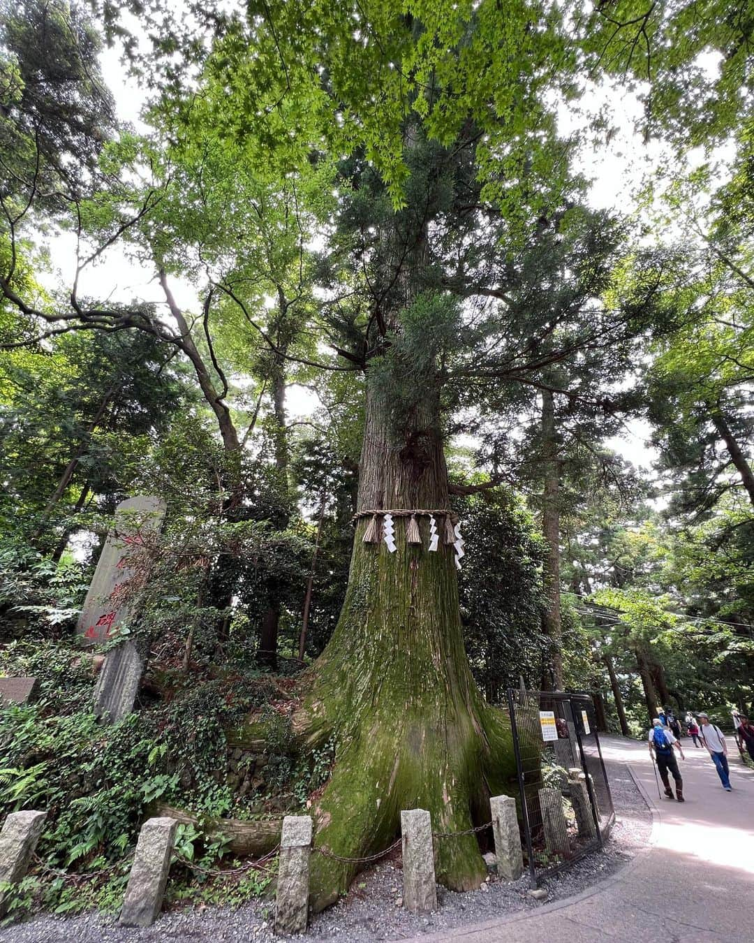 星南のぞみさんのインスタグラム写真 - (星南のぞみInstagram)「高尾山⛰️  同級生と六号路で登りました！  筑波山→御嶽山を経てだったのでとても楽しく登れました♪ 最後の無限階段までは…笑  天候にも恵まれて、山頂では富士山が🗻✨ そして、たぬき蕎麦とビールを頂きました🍻 登山後のこれが1番の楽しみ‼︎‼︎ 山菜がたっぷり入っていて美味しかったです♡  下山はリフトで🤭 途中で写真も撮ってもらえたり色んな景色が見れて気持ちよかったです🌳  下山後は 今年初のかき氷とお団子を食べて夏の先取り🍧🍡  帰りは駅に入ってる温泉で汗を流しました♨️ 日曜日だったので凄い人でした🙀  今月は2回も登山に行けて 自然の力に癒されました✨ 趣味になりつつありますね😼 来月も行けたらいいなぁ…  #高尾山 #六号路 #富士山  #京王高尾山温泉  本日、6月ラストtalk portです☔️ 是非会いに来てください♡ https://talkport.com/publishers/99633a50/live ストーリーにもLink貼っております🔗」6月30日 6時44分 - seina_nozomi