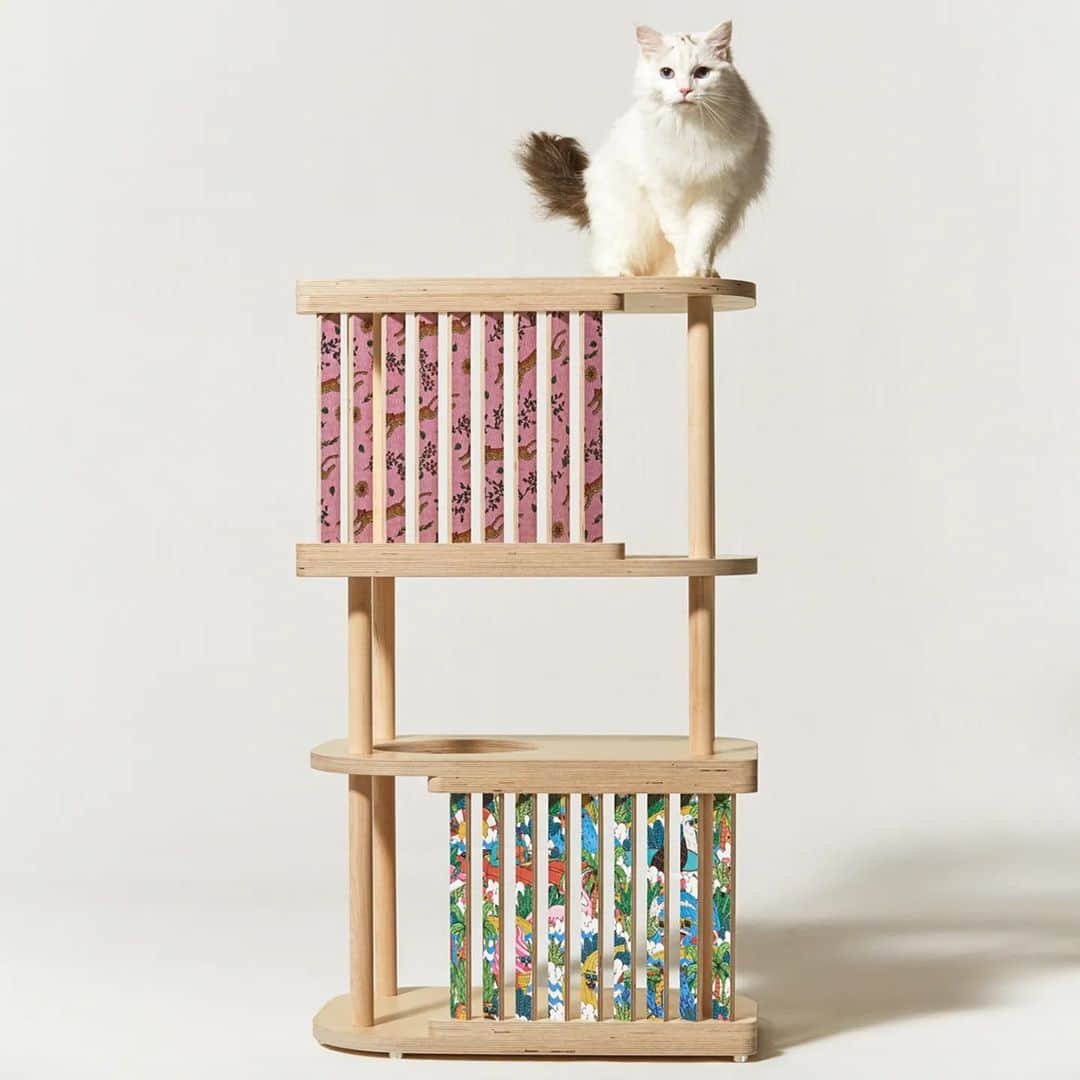 MULGAさんのインスタグラム写真 - (MULGAInstagram)「Fun collab with @bergandridge_official 😸🏢🥣⁣ ⁣ The MULGA X Berg & Ridge cat towers and cat bowls are out now and only available in Korea. ⁣ ⁣ #bergandridge #cattower #dogbowl #catbowl #mulgatheartist #mulgatheartistasia #mulgakorea⁣ #bergandridgecattower #mulgacattower ⁣ #bergandridgecatbowl #bergandridgedogbowl #mulgacatbowl #mulgadogbowl」6月30日 6時46分 - mulgatheartist