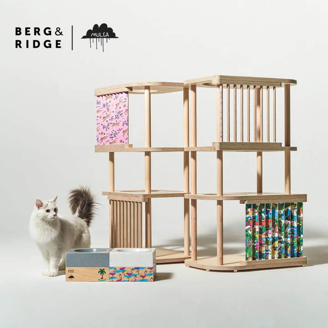 MULGAさんのインスタグラム写真 - (MULGAInstagram)「Fun collab with @bergandridge_official 😸🏢🥣⁣ ⁣ The MULGA X Berg & Ridge cat towers and cat bowls are out now and only available in Korea. ⁣ ⁣ #bergandridge #cattower #dogbowl #catbowl #mulgatheartist #mulgatheartistasia #mulgakorea⁣ #bergandridgecattower #mulgacattower ⁣ #bergandridgecatbowl #bergandridgedogbowl #mulgacatbowl #mulgadogbowl」6月30日 6時46分 - mulgatheartist