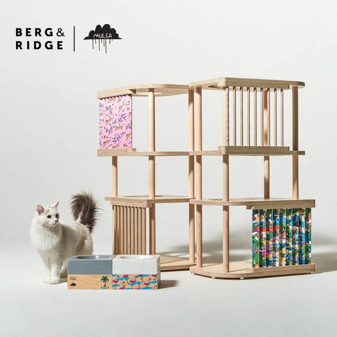 MULGAのインスタグラム：「Fun collab with @bergandridge_official 😸🏢🥣⁣ ⁣ The MULGA X Berg & Ridge cat towers and cat bowls are out now and only available in Korea. ⁣ ⁣ #bergandridge #cattower #dogbowl #catbowl #mulgatheartist #mulgatheartistasia #mulgakorea⁣ #bergandridgecattower #mulgacattower ⁣ #bergandridgecatbowl #bergandridgedogbowl #mulgacatbowl #mulgadogbowl」