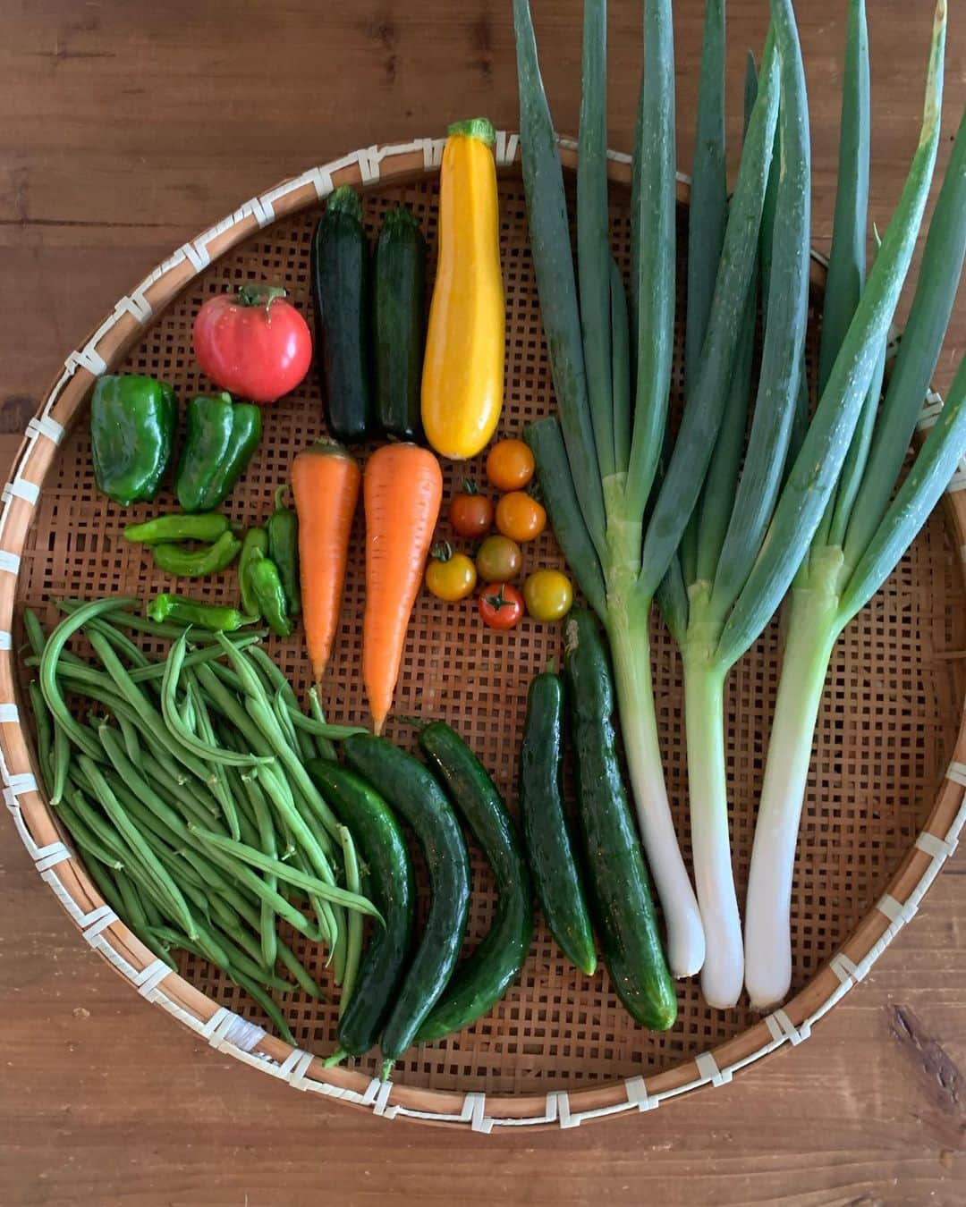 三浦理志さんのインスタグラム写真 - (三浦理志Instagram)「梅雨の晴れ間 #surfandnorf #farm #farmlife #vegetables #bee #beekeeping #honey #畑山 #野菜 #自家製野菜 #蜜蜂 #養蜂 #夏野菜のキーマカレー」6月30日 6時51分 - mar4m