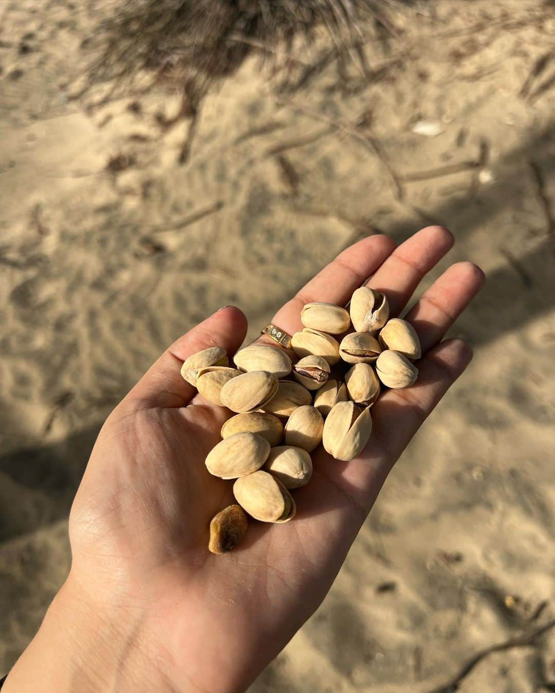 アドリアナ・ディアスさんのインスタグラム写真 - (アドリアナ・ディアスInstagram)「cerquita de la playa y el coquí…🌊☀️🇵🇷」6月30日 6時55分 - diazadriana123