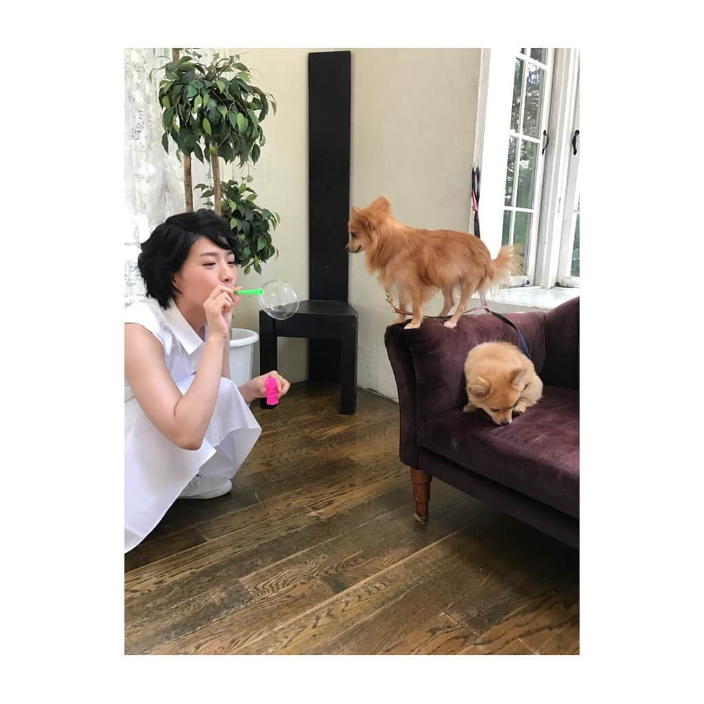 向井藍のインスタグラム：「🐕🐈さん大好き🫶  #向井藍 #aimukai #goodmorning」