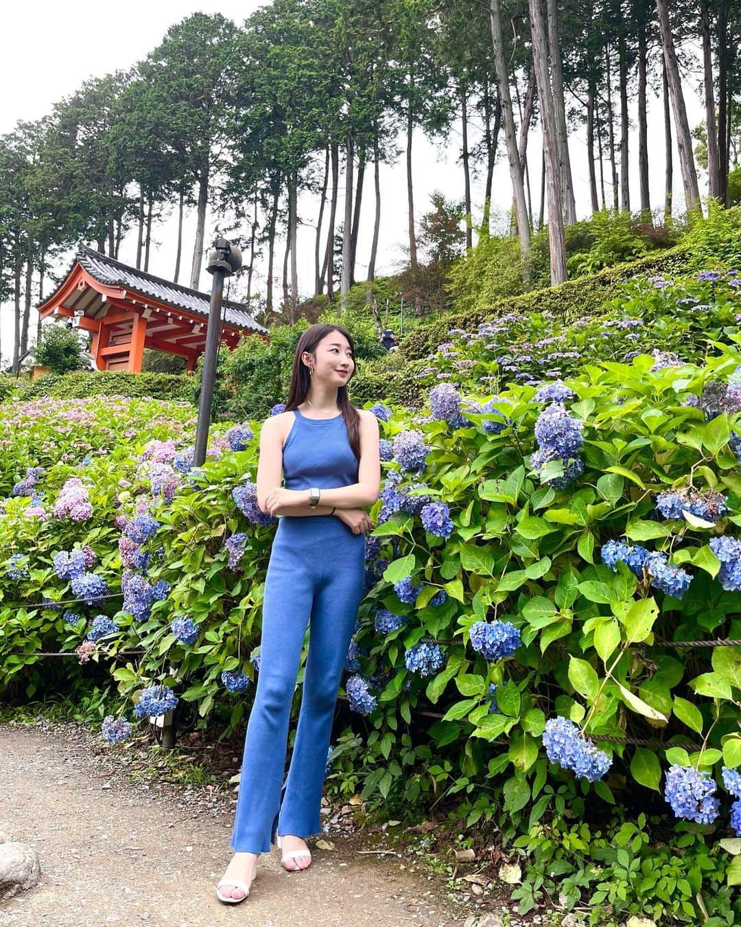渋谷栞南さんのインスタグラム写真 - (渋谷栞南Instagram)「Solo trip in Kyoto ⛩  After the kimono shoot, I had a solo trip in Kyoto for a day. The purpose of this trip was to see ajisai (hydrangea)💠 I even saw the heart ajisai at Mimurotoji garden🥳💗  I stayed at the guest house “Hitsujian” , which is Japanese traditional house. I made friends from other countries there💚 I really enjoyed talking to them about my country and theirs. The host is an expert of Kyoto!! He told me where to go and what to do in Kyoto🎋  念願の京都！大好きな紫陽花づくしの旅で大満足でした🥳  #kyoto#kyotojapan#kyototrip#japantravel#kyototravel#京都一人旅#京都女子旅#京都グルメ#京都カフェ#京都観光#女子一人旅#japantemple#japaneseculture #japanesetraditional」6月30日 19時00分 - kannashibuya_japan
