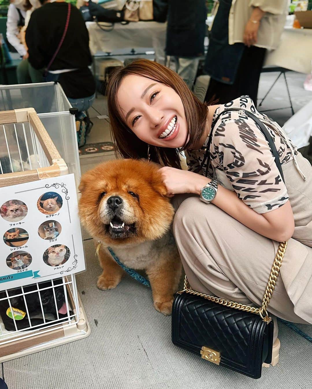秋倉諒子のインスタグラム：「保護犬保護猫ちゃんの為に 今、協力出来る事。🤝 (これだけでも読んでください)  @dogrescue_anella  @anella_cafe @anella_cafe_nagareyama   DogCat rescue ANELLAは これまで2000頭を超える保護犬猫たちを信頼できる里親様へ繋いでまいりました。 しかし、ふれあいデビューが出来ずに隔離された 『医療シェルター』にいる子たちは人目に触れる事もできず、ご縁を繋ぐことが出来ないという課題をずっと感じていました。 そこで、医療隔離シェルターから 『医療シェルター兼ふれあいカフェ』 として生まれ変わらせるためにクラウドファンディングを開催します🔥  "一匹の命を救っても世界は変わらないが、 その一匹の世界は永遠に変わるだろう"  世界を変える事は出来ないかもしれないけれど、 目の前の一頭に最善を尽くすことは出来ます！！  クラウドファンディングの詳細はストーリーズにも貼ってます！ 8月18日(金)23時まで URL：https://readyfor.jp/projects/dogcatrescue_anella  . 私が参加するきっかけは、 お友達の繋がりで知ったアネラの保護犬保護猫ちゃんの活動を、イベントを通して目の当たりにしてとても感銘を受けました。 お話を聞くと他の団体と違い、今まで寄付金などを募集されておらず、わんちゃんカフェやトリミングサロンなどの資金で運営しているということに更に驚きました。   昔から動物が大好きではあったけど、さまざまな環境で育った動物たちを保護し、生活のサポートや面倒をみて新しい飼い主を見つける、そのような活動をされている方々に心を動かされ、 何か私にできることはないのかと相談したところ今回クラウドファンディングをすると知り、是非協力させてほしいと思いました。   自分がすぐに何か行動出来ることは少ないかもしれないけれど、自分にできることはお手伝いさせていただきたいなと思いました。 そしてその活動が動物達の幸せに繋がり、私たちの幸せに繋がる。 この幸せの輪がもっとたくさんの人に広まりますように！ 応援していきます！  @dogrescue_anella  @anella_cafe @anella_cafe_nagareyama   📸🐶イベントの時の保護犬チャウちゃん♡」