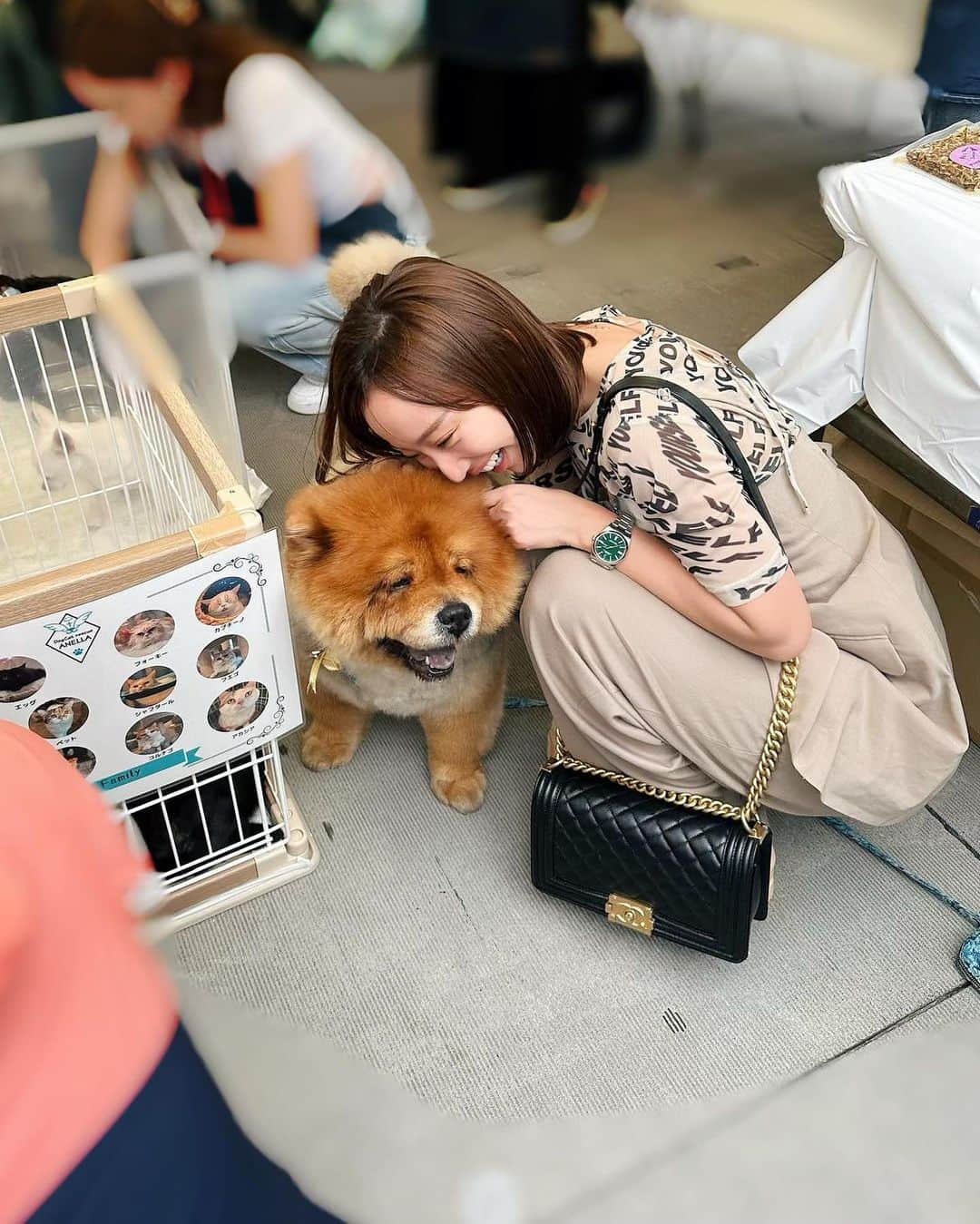 秋倉諒子さんのインスタグラム写真 - (秋倉諒子Instagram)「保護犬保護猫ちゃんの為に 今、協力出来る事。🤝 (これだけでも読んでください)  @dogrescue_anella  @anella_cafe @anella_cafe_nagareyama   DogCat rescue ANELLAは これまで2000頭を超える保護犬猫たちを信頼できる里親様へ繋いでまいりました。 しかし、ふれあいデビューが出来ずに隔離された 『医療シェルター』にいる子たちは人目に触れる事もできず、ご縁を繋ぐことが出来ないという課題をずっと感じていました。 そこで、医療隔離シェルターから 『医療シェルター兼ふれあいカフェ』 として生まれ変わらせるためにクラウドファンディングを開催します🔥  "一匹の命を救っても世界は変わらないが、 その一匹の世界は永遠に変わるだろう"  世界を変える事は出来ないかもしれないけれど、 目の前の一頭に最善を尽くすことは出来ます！！  クラウドファンディングの詳細はストーリーズにも貼ってます！ 8月18日(金)23時まで URL：https://readyfor.jp/projects/dogcatrescue_anella  . 私が参加するきっかけは、 お友達の繋がりで知ったアネラの保護犬保護猫ちゃんの活動を、イベントを通して目の当たりにしてとても感銘を受けました。 お話を聞くと他の団体と違い、今まで寄付金などを募集されておらず、わんちゃんカフェやトリミングサロンなどの資金で運営しているということに更に驚きました。   昔から動物が大好きではあったけど、さまざまな環境で育った動物たちを保護し、生活のサポートや面倒をみて新しい飼い主を見つける、そのような活動をされている方々に心を動かされ、 何か私にできることはないのかと相談したところ今回クラウドファンディングをすると知り、是非協力させてほしいと思いました。   自分がすぐに何か行動出来ることは少ないかもしれないけれど、自分にできることはお手伝いさせていただきたいなと思いました。 そしてその活動が動物達の幸せに繋がり、私たちの幸せに繋がる。 この幸せの輪がもっとたくさんの人に広まりますように！ 応援していきます！  @dogrescue_anella  @anella_cafe @anella_cafe_nagareyama   📸🐶イベントの時の保護犬チャウちゃん♡」6月30日 18時12分 - ryokoak45