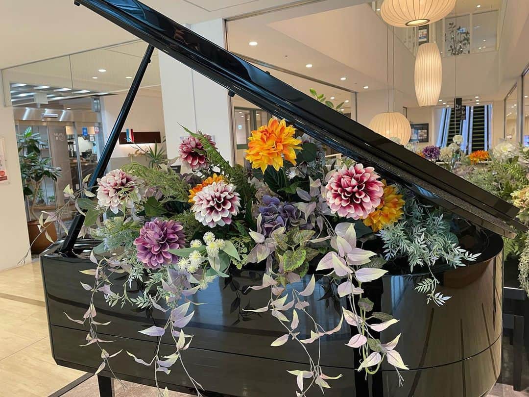 ホテルオーレ　ブロッサモーレさんのインスタグラム写真 - (ホテルオーレ　ブロッサモーレInstagram)「ホテルオーレ2F『オーレピアノ』 ダリアの装飾に衣替えしました。  ダリアの花言葉は「優雅」「気品」「栄華」。  オーレピアノを優雅に演奏してみてはいかがですか？ 是非お気軽にご来館ください。 #ホテルオーレ #ストリートピアノ #オーレピアノ #ダリア #夏の花 #藤枝市 #藤枝のホテル #宿泊 #宴会」6月30日 17時11分 - hotel_ole
