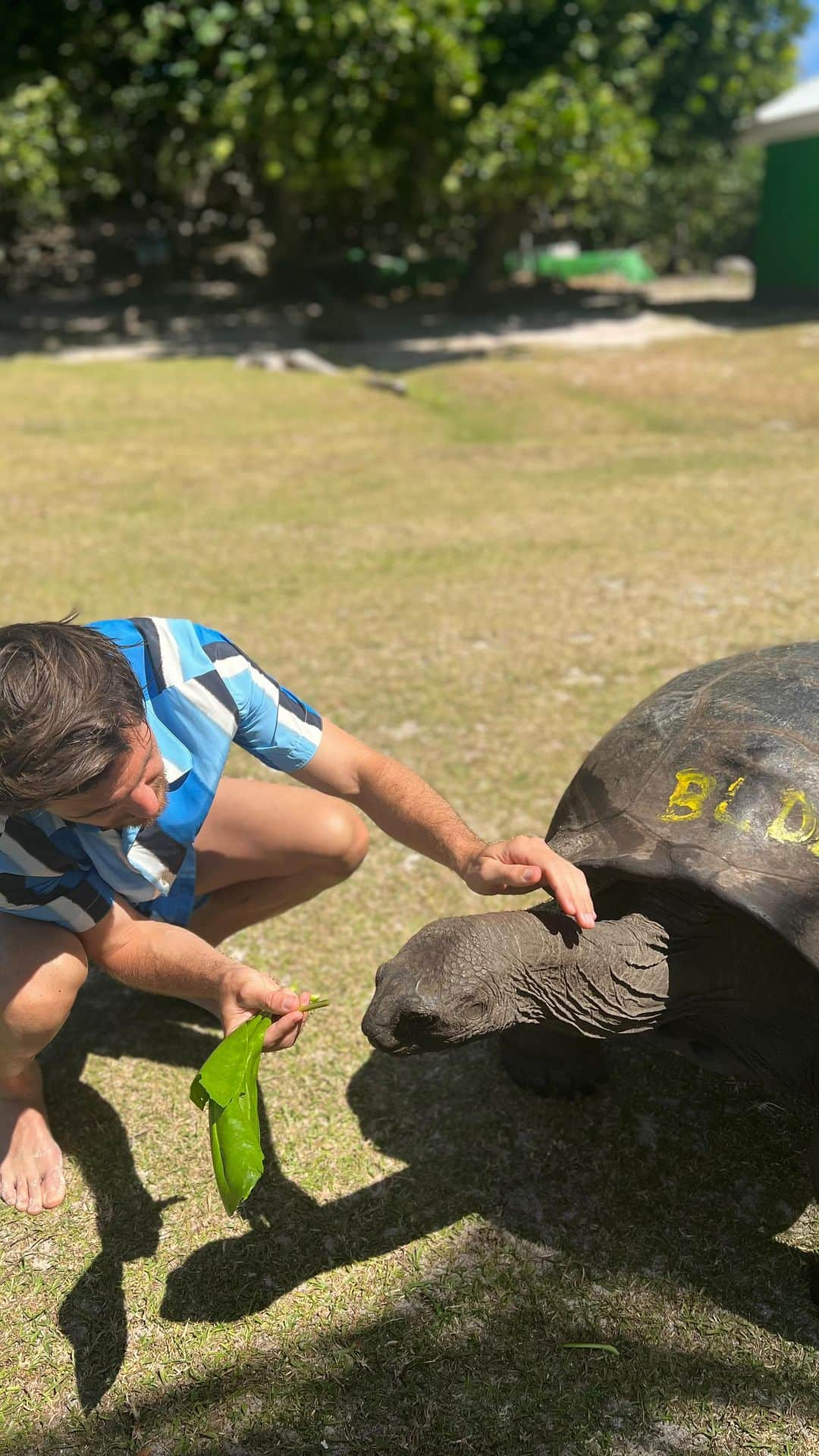 ヨナス・ホフマンのインスタグラム：「📍 curieuse island 🐢」