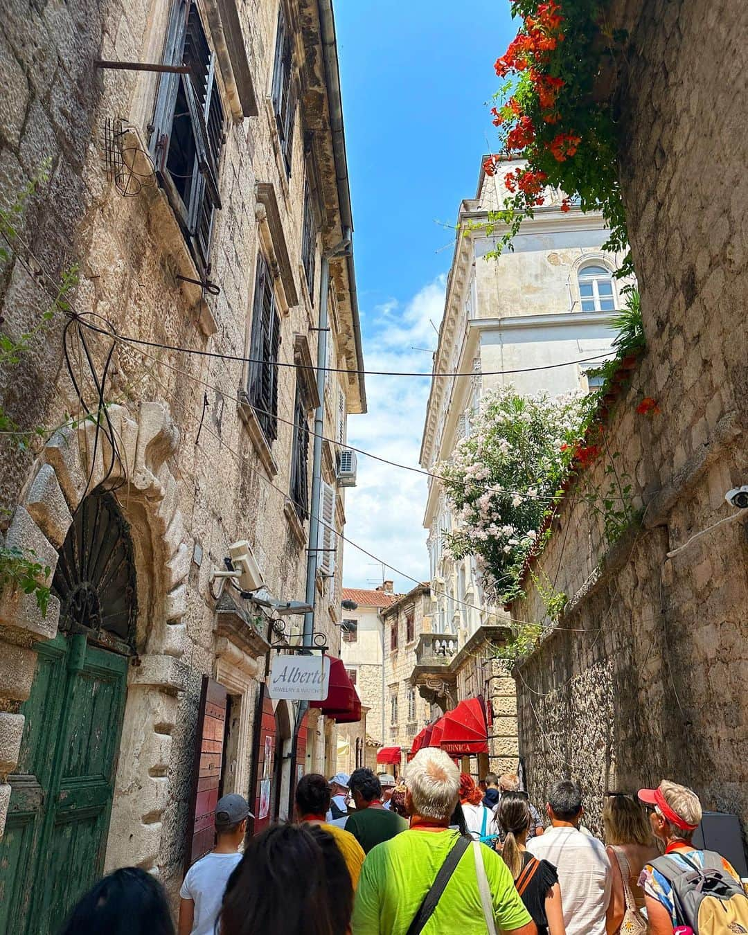 新田朝子のインスタグラム：「Trying to explore the old town of Kotor🇲🇪🌺  #travelphotography #lovetotravel #travelinggram #kotor #oldtownkotor #montenegro #worldheritagesite   #コトル #モンテネグロ #旧市街 #海外旅行好きな人と繋がりたい #旧ユーゴスラビア #世界遺産」