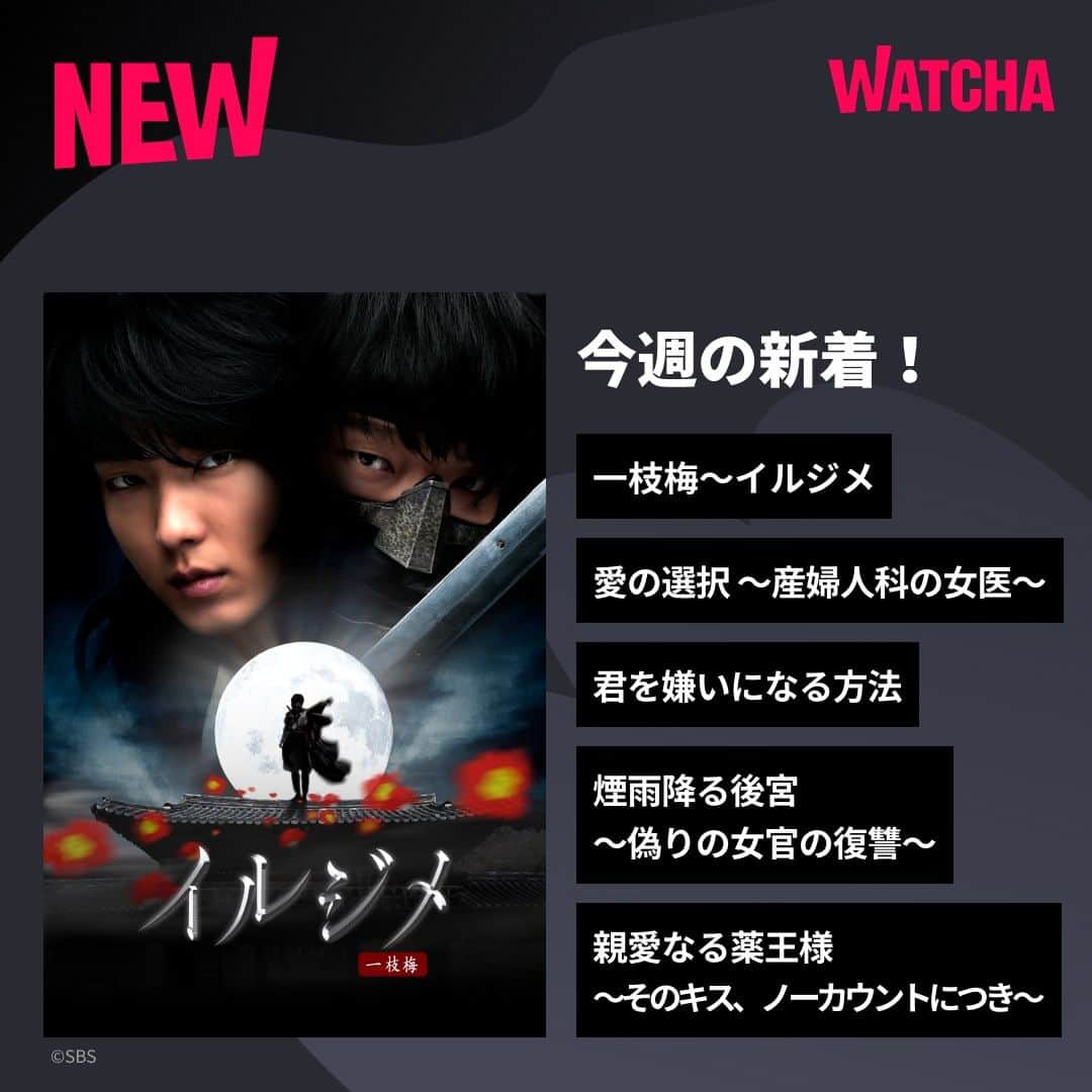 WATCHA(ウォッチャ) / 映画、ドラマ、アニメのインスタグラム：「イジュンギさんやソンジュンギさん出演作品など WATCHAの今週の新着をご紹介！  📺『一枝梅～イルジメ』 📺『愛の選択 ～産婦人科の女医～』 📺『君を嫌いになる方法』 📺『煙雨降る後宮～偽りの女官の復讐～』 📺『親愛なる薬王様～そのキス、ノーカウントにつき～』  WATCHAで今すぐチェックしよう💗  #WATCHA新作紹介 #WATCHAで配信中 #韓国俳優 #韓国女優 #韓国俳優さん #韓国ドラマおすすめ #韓国ドラマ #韓国ドラマ好きな人と繋がりたい #韓国ドラマ好き #韓国ドラマ好き #韓国ドラマ好きと繋がりたい #韓国ドラマ中毒 #韓ドラ #韓ドラ好きな人と繋がりたい #韓ドラおすすめ #一枝梅イルジメ #愛の選択産婦人科の女医 #君を嫌いになる方法 #煙雨降る後宮偽りの女官の復讐 #親愛なる薬王様そのキスノーカウントにつき #イジュンギ #ソンジュンギ #パクシフ #ハンヒョジュ #イヨンア #チャンソヒ #コジュウォン #ソジソク」