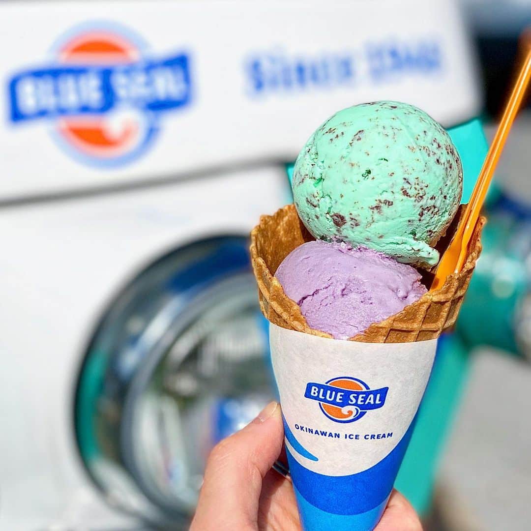 チョコミント大学生うしくろのグルメインスタ