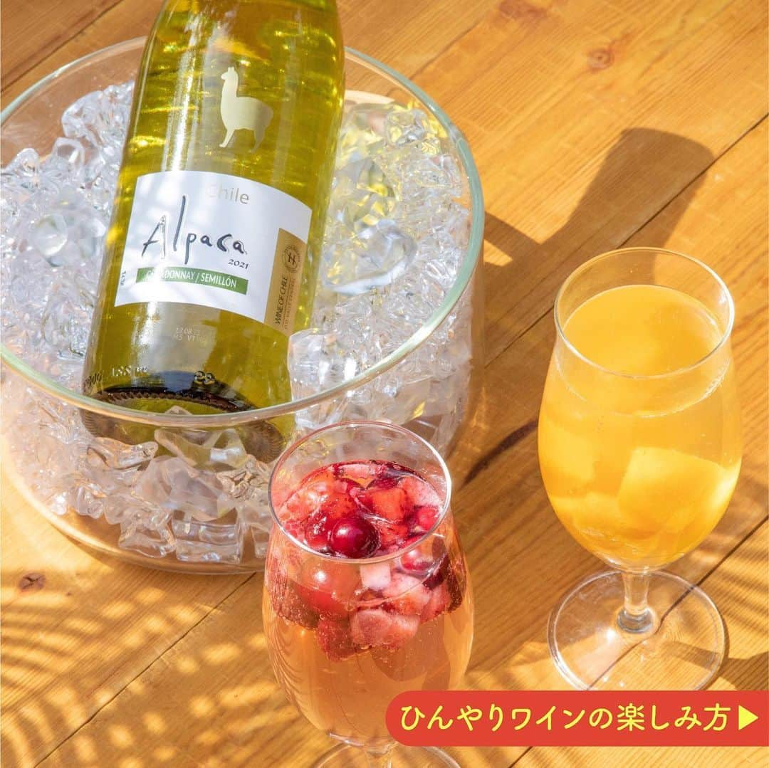 アサヒビールさんのインスタグラム写真 - (アサヒビールInstagram)「ひんやりワイン飲みたい！という方は、コメント欄に「🍷（ワイン）」の絵文字をお願いします♬ --------------  【ひんやりしゅわしゅわ🍾夏のワインスプリッツァー】  今日はアルパカを使った、これからの季節にぴったりなしゅわしゅわ感を楽しめるワインカクテルのご紹介です💡  スーパーやコンビニでも手に入る冷凍フルーツに、パチッと弾ける炭酸を加えるだけ💕カラフル＆フルーティーなワインスプリッツァーの完成です！  今回は冷凍マンゴーと冷凍ミックスベリーを氷代わりに使いました♪ぜひお好みの冷凍フルーツで、夏の乾杯楽しんでみてくださいね🤗 ⁣  作ってみたら #アサヒで乾杯 をつけて投稿をお待ちしています♪  #アルパカワイン ⁣⁣ #サンタヘレナアルパカ⁣ #スパークリングワイン⁣ ⁣- #サンタヘレナ #チリワイン #ワイン #おうちワイン #スパークリング #白ワイン  #宅飲み #おうちパーティー #カクテル #カクテルレシピ #おうちカクテル #冷凍フルーツ #フルーツワイン #映えドリンク #夏のお酒 #夏のカクテル #おうち女子会 #ワインの飲み方 #ワインスタグラム #おうちドリンク #しゅわしゅわ #おしゃれドリンク ⁣- #アサヒビール #アサヒ #asahibeer #asahi」6月30日 18時01分 - asahibeer_jp