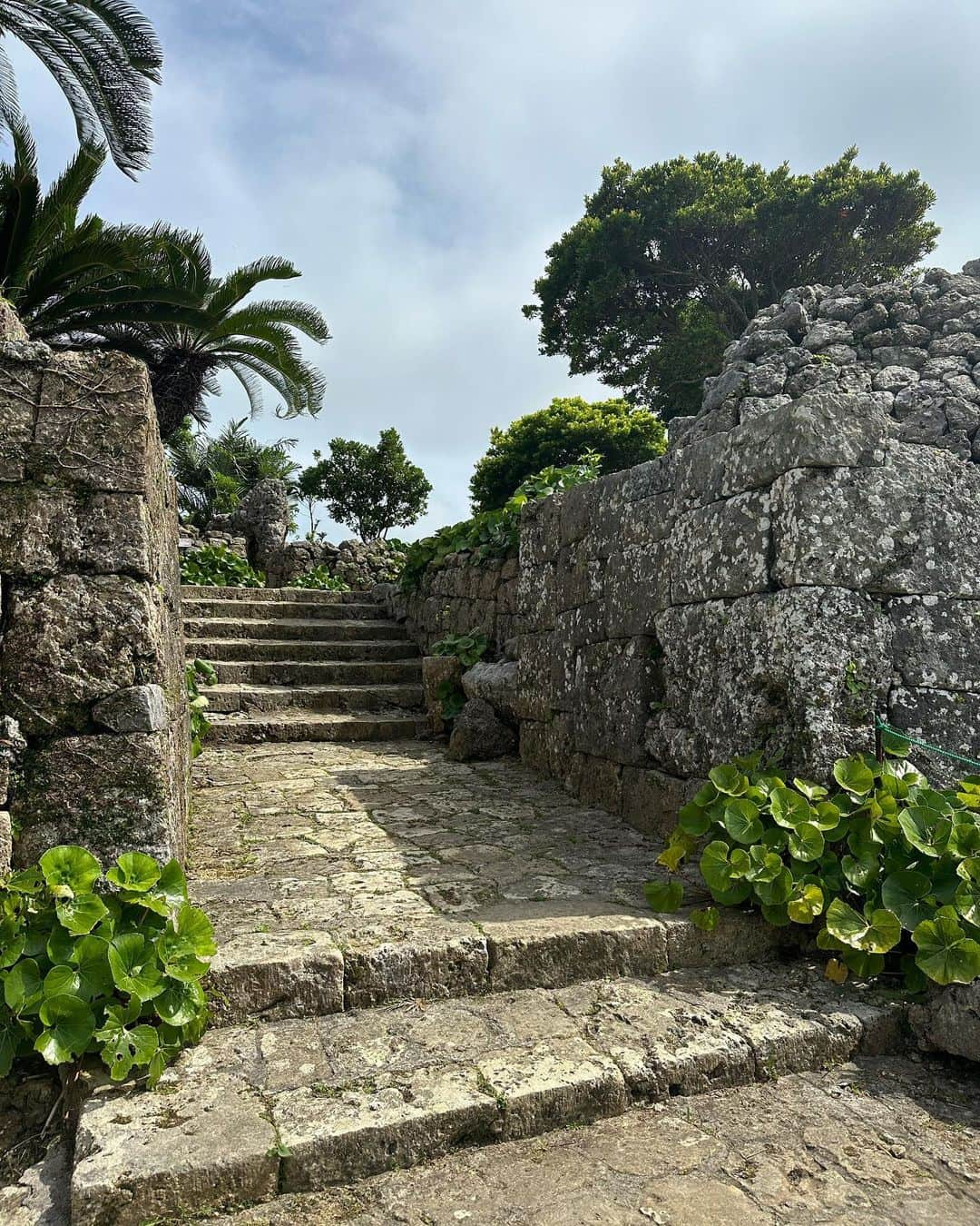 箕輪玖美さんのインスタグラム写真 - (箕輪玖美Instagram)「世界遺産 中城城跡🏯 ・ ・ 広大で高台にあるので、チケット売場から城跡まで無料カートで送ってもらえる😃 ・ ・ 14世紀中頃、築城家の名手と言われた護佐丸が築いたとされるお城は、大規模で美しく見晴らしも最高✨ 見応えたっぷりの城跡に感動しきり😊 ・ ・ その後は近くにある、国指定重要文化財  中村家住宅へ🏠 ・ ・ 戦前の沖縄の住居建築の特色を全て備えている建物で、ノスタルジックな居心地😊 物が限られていた中で、知恵と工夫が素晴らしく発揮された完璧ではないかと言うレベルのSDGSな造りと暮らし✨✨✨ 有料ですが、ガイドさんに案内して頂くのをオススメします😉 ・ ・ 汗だくで観光した帰りには、お気に入り 千日のぜんざいでクールダウン🍧 美味しかった〜🥰  #中城城跡 #世界遺産 #中村家住宅 #重要文化財建造物 #沖縄観光 #グスク #お城好き #お城好きな人と繋がりたい #worldheritage #okinawa #ぜんざい #千日 #楽しい1日 #旅ジョ #旅スタグラム #アラフィフ女子 #箕輪玖美」6月30日 9時15分 - kumi.111