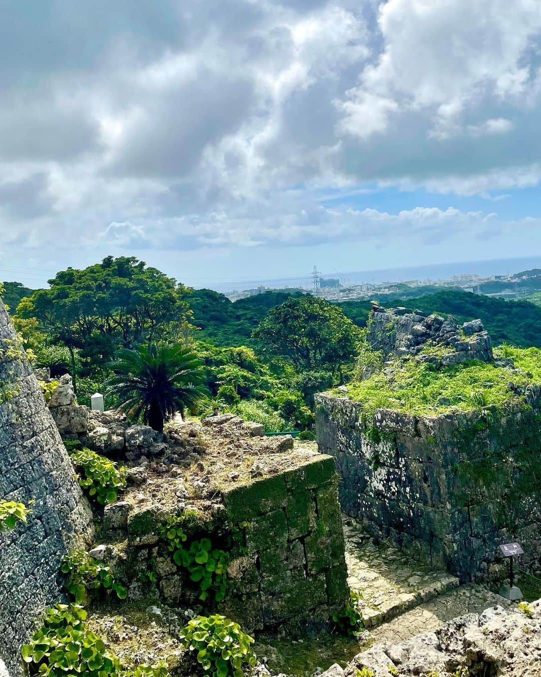 箕輪玖美さんのインスタグラム写真 - (箕輪玖美Instagram)「世界遺産 中城城跡🏯 ・ ・ 広大で高台にあるので、チケット売場から城跡まで無料カートで送ってもらえる😃 ・ ・ 14世紀中頃、築城家の名手と言われた護佐丸が築いたとされるお城は、大規模で美しく見晴らしも最高✨ 見応えたっぷりの城跡に感動しきり😊 ・ ・ その後は近くにある、国指定重要文化財  中村家住宅へ🏠 ・ ・ 戦前の沖縄の住居建築の特色を全て備えている建物で、ノスタルジックな居心地😊 物が限られていた中で、知恵と工夫が素晴らしく発揮された完璧ではないかと言うレベルのSDGSな造りと暮らし✨✨✨ 有料ですが、ガイドさんに案内して頂くのをオススメします😉 ・ ・ 汗だくで観光した帰りには、お気に入り 千日のぜんざいでクールダウン🍧 美味しかった〜🥰  #中城城跡 #世界遺産 #中村家住宅 #重要文化財建造物 #沖縄観光 #グスク #お城好き #お城好きな人と繋がりたい #worldheritage #okinawa #ぜんざい #千日 #楽しい1日 #旅ジョ #旅スタグラム #アラフィフ女子 #箕輪玖美」6月30日 9時15分 - kumi.111