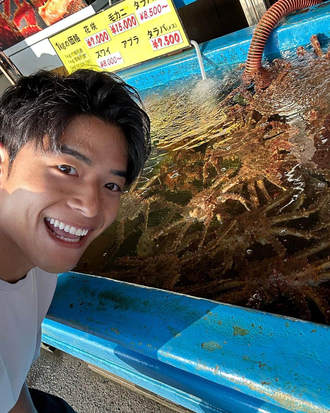 池田航さんのインスタグラム写真 - (池田航Instagram)「先程は生中継ありがとうございます✨️🦀  みんな【花咲ガニ】ってカニじゃないの知ってた！？  花咲ガニは足が6本、爪が2本で計8本なんですが 普通のカニは足が8本と爪が2本の10本なんです😳！🦀  花咲ガニはヤドカリの仲間なんです😍！   #北海道  #場外市場  #花咲ガニ  #毛ガニ  #ズワイガニ  #タラバガニ   今日も素敵な食材と暖かい現地の方達との出会いに感謝💓   次回もお楽しみに☀️  朝お仕事で見られない方に、旅するエプロンTikTokが開設されました！ 【旅するエプロン】でTikTok検索すれば見られます✨️ ぜひフォローよろしくお願いいたします😍  #ZIP #旅するエプロン #スピッツ #Spitz #ZIPファミリー  #水卜麻美 さん  #池田航  @kohcooking   #伊藤楽  @gaku_jh122」6月30日 10時11分 - kohcooking