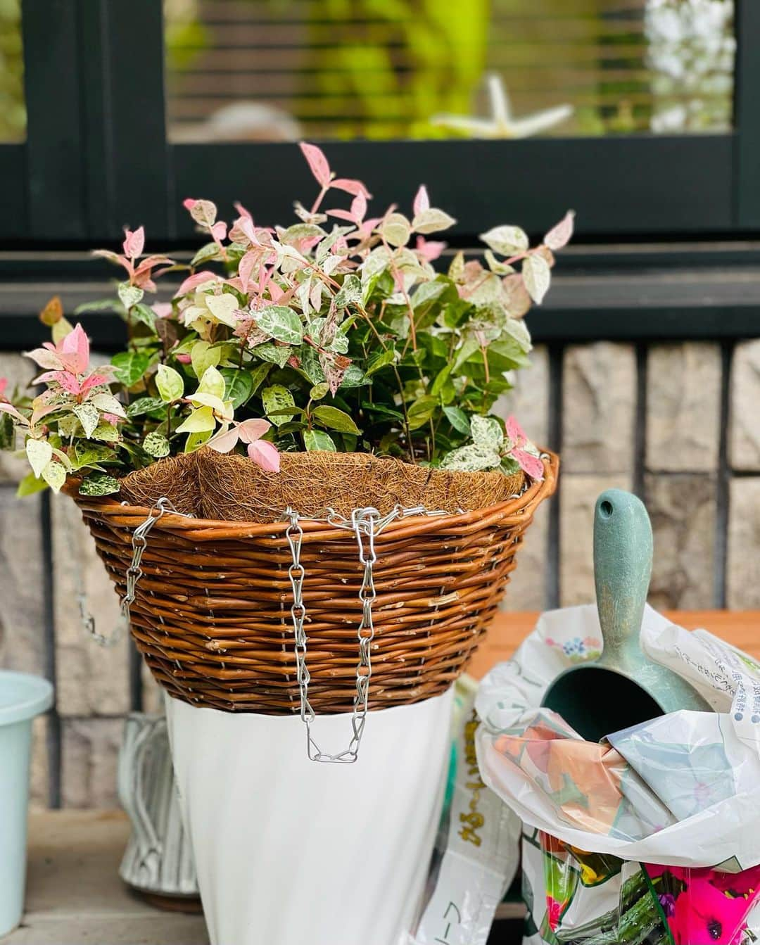 結城アンナさんのインスタグラム写真 - (結城アンナInstagram)「🪴植物用ハンギング・バスケット🧺🌱💚Hanging baskets for plants🪴🧺💚  😊良い週末をお過ごしください❣️ ☺️Have a lovely weekend🌱  #ハンギンググリーン #ハンギングバスケット #ハンギングプランツ #hangingplants #hangingbaskets #庭 #garden   🕊️Peace & Kindness, may all your dreams come true🕊️」6月30日 10時42分 - ayukihouse