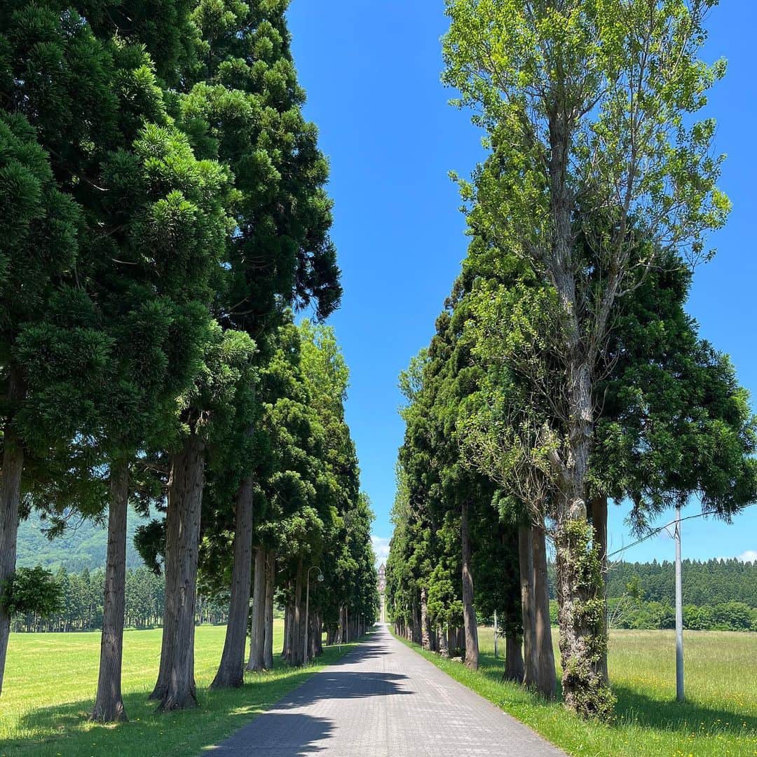 柴田聡のグルメインスタ