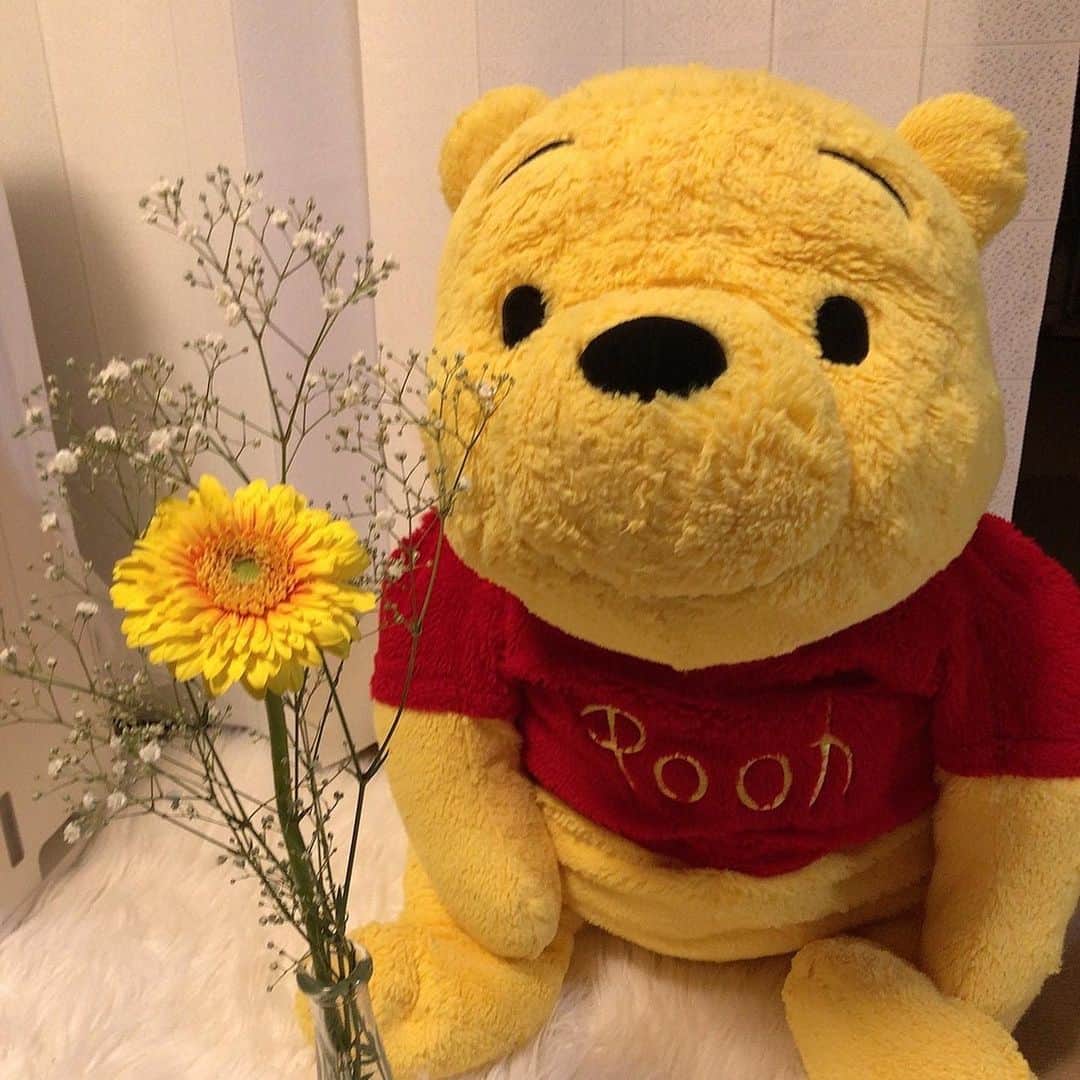 たなかさえのインスタグラム：「無事手術も終わり退院も出来ました💐けど喉のかさぶたが完全に無くなるまでまだしばらく静養期間です🍀 . お花で癒しを🌼.*」