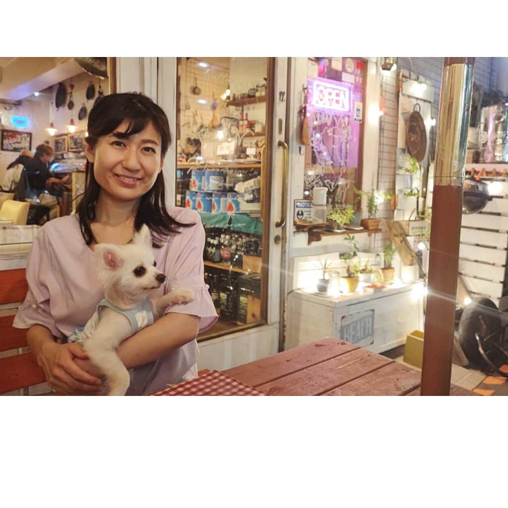 北口麻奈さんのインスタグラム写真 - (北口麻奈Instagram)「夫が朝からピザを食べたい〜と言うので、仕事終わりにビアンカさんへ🍕 暑い季節✖︎テラス席✖︎ビールの組み合わせって、なんであんなにあうのでしょう🍺 おいしさマシマシになりますよね😋 抹茶さんはパンもピザも首をなが〜くして食べようとしてましたが、パパの「小麦はダメ」という厳しい判断で、おこぼれナシ🙅‍♀️ だけど、お店のお姉さんにヨシヨシしてもらえたから抹茶は満足🐕 抹茶を見かけた際は、ぜひ撫でてあげてください☺️ #ポメチワ #みっくす犬 #ぽめちわぐらむ #犬のいる暮らし #犬とお出かけ関西 #ビアンカ #テラス席わんこok #元保護犬」6月30日 12時17分 - asana_kitaguchi