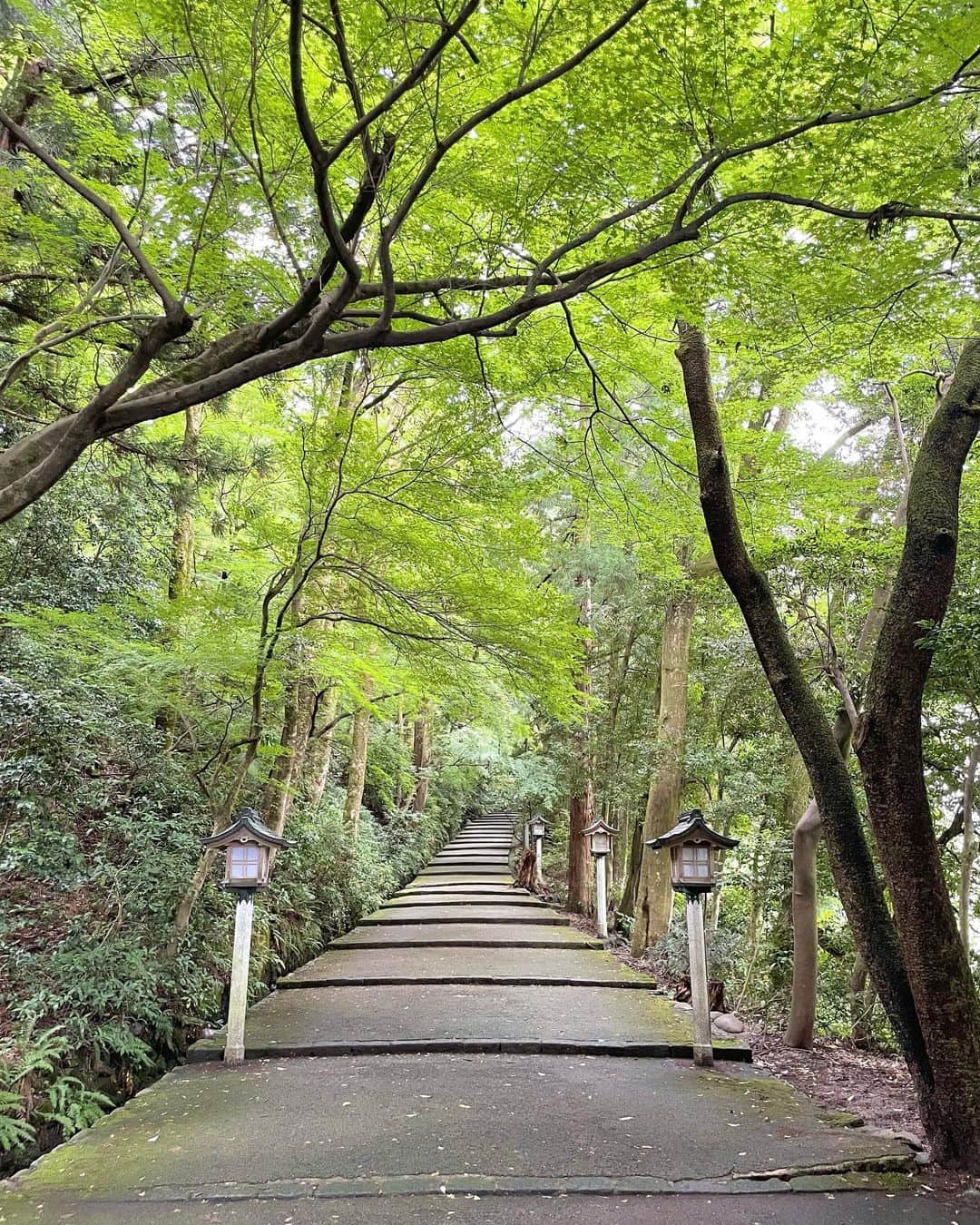 的場絢香さんのインスタグラム写真 - (的場絢香Instagram)「⛩️ ⁡ 白山比咩神社へ。 ⁡ 梅雨の時期の白山さんの表参道は 緑がより濃くて気持ち良い~🍃 この時期だけの茅の輪守いただきました！ ⁡ 白山さんの茅の輪は 7月9日まで設置されているそう。 (わたし行った時はまだくぐれなかったので また日を改めていこうと思ってます。) ⁡ 帰りに越原甘清堂さんの 氷室まんじゅうもget！ 麦まんじゅうで色によって味も違うの！ ⁡ 2023年も半分が過ぎたのね。 早いなぁ~ 残り半年も皆さんが健康に過ごせますように♡ ⁡ _ _ _ #白山比咩神社 #石川県」6月30日 18時18分 - ayaka_matoba
