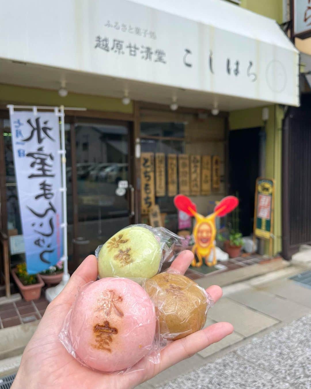 的場絢香さんのインスタグラム写真 - (的場絢香Instagram)「⛩️ ⁡ 白山比咩神社へ。 ⁡ 梅雨の時期の白山さんの表参道は 緑がより濃くて気持ち良い~🍃 この時期だけの茅の輪守いただきました！ ⁡ 白山さんの茅の輪は 7月9日まで設置されているそう。 (わたし行った時はまだくぐれなかったので また日を改めていこうと思ってます。) ⁡ 帰りに越原甘清堂さんの 氷室まんじゅうもget！ 麦まんじゅうで色によって味も違うの！ ⁡ 2023年も半分が過ぎたのね。 早いなぁ~ 残り半年も皆さんが健康に過ごせますように♡ ⁡ _ _ _ #白山比咩神社 #石川県」6月30日 18時18分 - ayaka_matoba