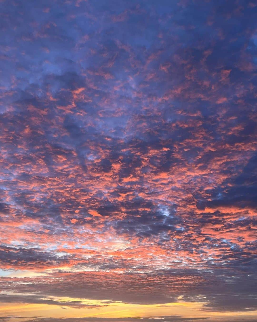 とうあさんのインスタグラム写真 - (とうあInstagram)「夕方が1番好き🌆 20歳の記念でCHANELをお迎えしたょ🫂💕おばあちゃんになっても使うの👵🏻」6月30日 18時20分 - ___2toua2___