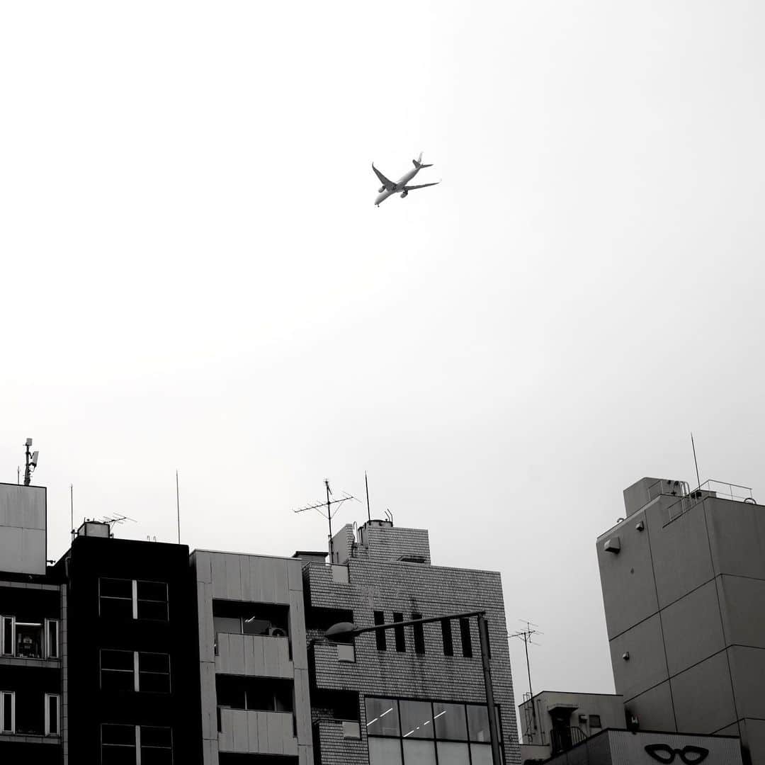 坂崎幸之助のインスタグラム：「いつの頃からか東京都内の上空を堂々と飛行機が飛ぶようになりましたね✈️ それも渋谷、青山、新宿、品川、ビルの谷間、ところ構わず多い時は数分おきに🧐 ちょっと恐い気もするけど、思わずシャッターを切ってる自分😓  #飛行機 #空路 #東京 #都内 #上空 #ビル #α7rⅢ #EKTAR47mmf2 #オールドレンズ #ライカマウント #モノクロ #さあ #明日から　#ツアーファイナル #名古屋センチュリー #お楽しみに🤩😸」