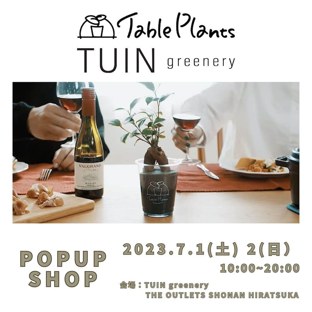 のインスタグラム：「【POPUP開催情報】 GreenSnap × TUIN greenery THE OUTLETS SHONAN HIRATSUKA店  7月1日(土)〜2日(日)に『TUIN greenery』 THE OUTLETS SHONAN HIRATSUKA店にてPOPUP SHOPを開催します！  人気の【土を使わない観葉植物】テーブルプランツ(Table Plants)が実際に見れるチャンスですので、お近くの際はぜひお立ち寄りいただけますと幸いです。  皆様のご来店をお待ちしております。  ▼開催概要 【開催日時】2023年7月1日(土)〜2日(日) 10:00〜20:00 【開催場所】TUIN greeneryTHE OUTLETS SHONAN HIRATSUKA店  神奈川県平塚市大神字一之堰 605 https://the-outlets-shonan-hiratsuka.aeonmall.com/static-pages/access」