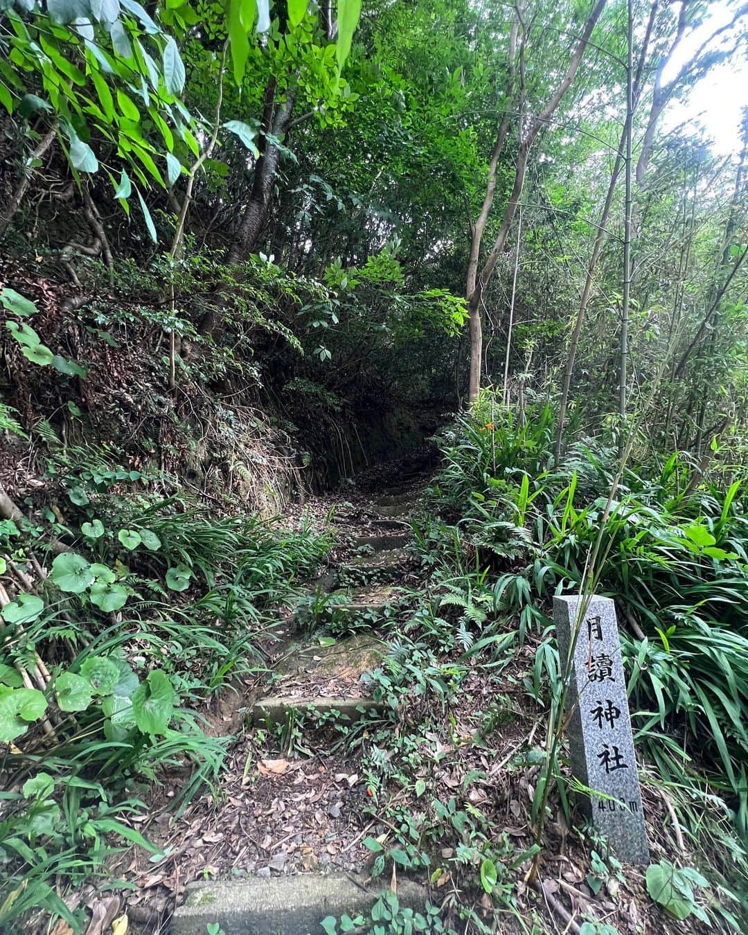 LOVEさんのインスタグラム写真 - (LOVEInstagram)「Shimane Day 2  断魚渓 須佐神社 日御碕灯台 日御碕神社 月読神社  刄田さんコーディネートにより 天照大御神の弟＆妹さん巡り 色々と書ききれぬ。  出雲国⛩️」6月30日 14時59分 - loveyanen_official