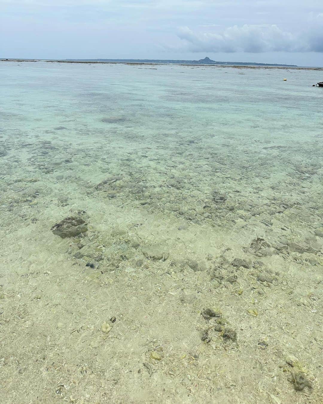 林田沙綾さんのインスタグラム写真 - (林田沙綾Instagram)「@miss_me_by_chaling のやつのアイテムは 7月頭発送になります！🍈🍈🍈」6月30日 15時20分 - saaya.xoxo