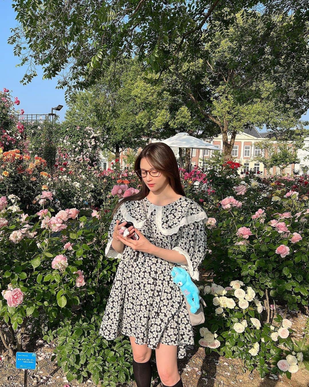 のインスタグラム：「少し前のハウステンボス🐻」