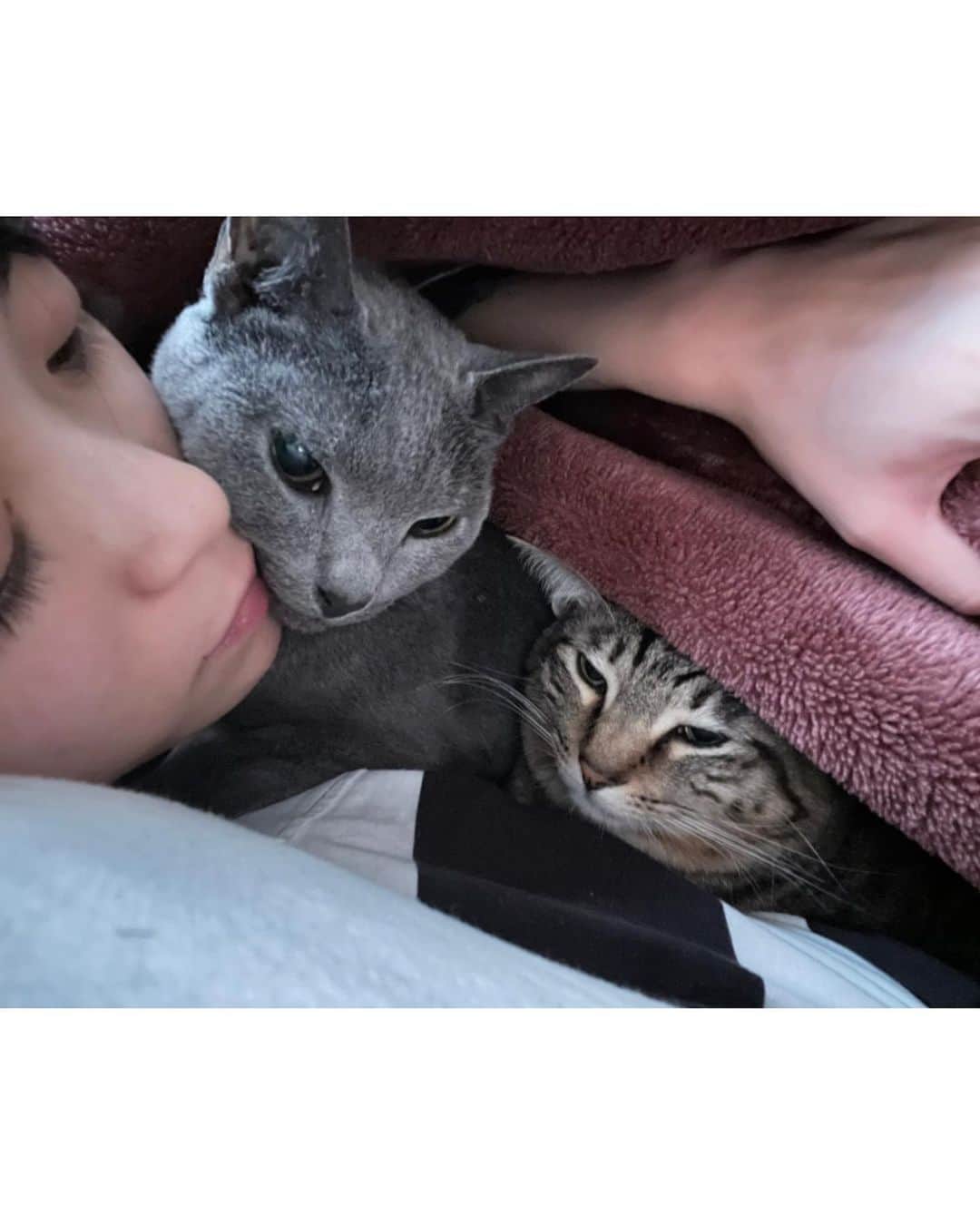 坂田梨香子さんのインスタグラム写真 - (坂田梨香子Instagram)「_ 【ご報告】  ストーリーではお知らせしましたが、 6/21 AM5:00 愛猫のもずくが虹の橋へ旅立ちました🌈 9歳9ヶ月、あと3ヶ月で10歳でした。  元々腎臓病ではあったものの、先月までの血液検査などは問題なく、 数日前まで元気でしたが前日に動物病院に行ったのが最後、その後容態が急変して救急病院にて急逝でした。せめてもの苦しむ時間が短かったことが救いです。 亡くなる直前、わたしの顔に腕を伸ばしてきました。 それがもずくの最期でした。 そのあと呼吸が止まりました。 20分の心肺蘇生が限度らしいのですが20分間の蘇生中、声をかけ続けました。20分たったとき、一瞬だけ心電図に動きがあり、先生が延長で蘇生を懸命に施してくれましたがその後意識が戻ることはありませんでした。 ですが、その一瞬、もずくは私たちに懸命にお返事をしてくれたのだと思います。 夫婦揃ってる時に看取らせてくれ、負担をかけないようにときっと思い遣ってくれたのだと思います。猫はよく亡くなる姿を飼い主に見せないと言いますが、もずくは最後の最後まで優しい子でした。 私にとって猫と家族になることはもずくが初めてで、自分より大切な我が子のような存在でした。  しばらくの間、時間感覚、睡眠欲、食欲、気力、体力、思考、 こんなになくなるものなのかというくらい無の時間を彷徨う日々でした。  これまで見守ってくださいました皆様、お悔やみのお言葉をかけてくださった皆様、心よりお礼申し上げます。 なかなか投稿できずお礼が大変遅くなりすみません。  亡くなってから火葬までの2日間、ひっきりなしにもずくに会いに、親しい友人、仲間、先輩が来てくれました。 まるで計画してくれていたかのようにわたしが1人きりになる時間が奇しくも殆ど無く、また来てくれた人たちが重なる事もほとんどなく、お話ししたり、もずくとの最後を偲んでくれました。 とってもありがたかった。 沢山のお花やおもちゃ、おやつなどのプレゼントでどんどんもずくの周りが賑やかになって、うちじゃないみたいに華やかにしてもらって それまで深い悲しみの中に居た私達夫婦も人の想いのおかげでどんどん心の負担が軽くなりました。 もずくも人が大好きだったのでおかげで寂しさを感じずに送り出せたと思います💐 感謝してもしきれない忘れられない日になりました。 ありがとうございました。  火葬する前夜は夫婦2人で かたちがまだ残るもずくを沢山抱っこして、話しかけて撫でて、たくさんキスして、いつものようにもずくのおてて握ったまま、一緒に川の字で寝ました　寝るのが惜しくて、ずっと寝顔を見ていました 6/23の火葬当日は雨予定だったのが、晴天とはならずとも曇りになり、もずくっぽくて笑えたなあ  皆んなから貰ったお花の中で眠るもずくを見て 泣きながら可愛い、 愛おしいと思いました。 お骨になって帰ってきたもずくも可愛いと思いました。 短いと思ってた尻尾は意外と長くてびっくりしました。 全部可愛いよ、もーちゃん。 今も可愛くて仕方ないよ 悲しくないけど寂しいよ〜  もずくは何をするにも四六時中べったりで甘えん坊だなと常々思ってたけど 夫や友達に梨香子ちゃんの方がもずくに甘えん坊だったんだよって言われて衝撃だった😂 全く気付いてなかったけど腑に落ちた。もずくごめんね、ありがとう🫶  もずくに最後読んだ手紙に、伝えたい気持ちは込めたつもりだけど思い出って無限に溢れてくるなー 改めて何度振り返っても一日一日、きらきら光り輝いてかけがえのない日々でした⭐️  もずくに会えて嬉しいよ 楽しかったよ。 辛い時もそばに居てくれてありがとう💐 またもずくに必ず会いたいよ 会いに行くまで待っててね もずくのおもうようにしたらいいよ そばにいたいうちはそばにいてね 愛してるよ。」6月30日 15時49分 - rikakosakata_official