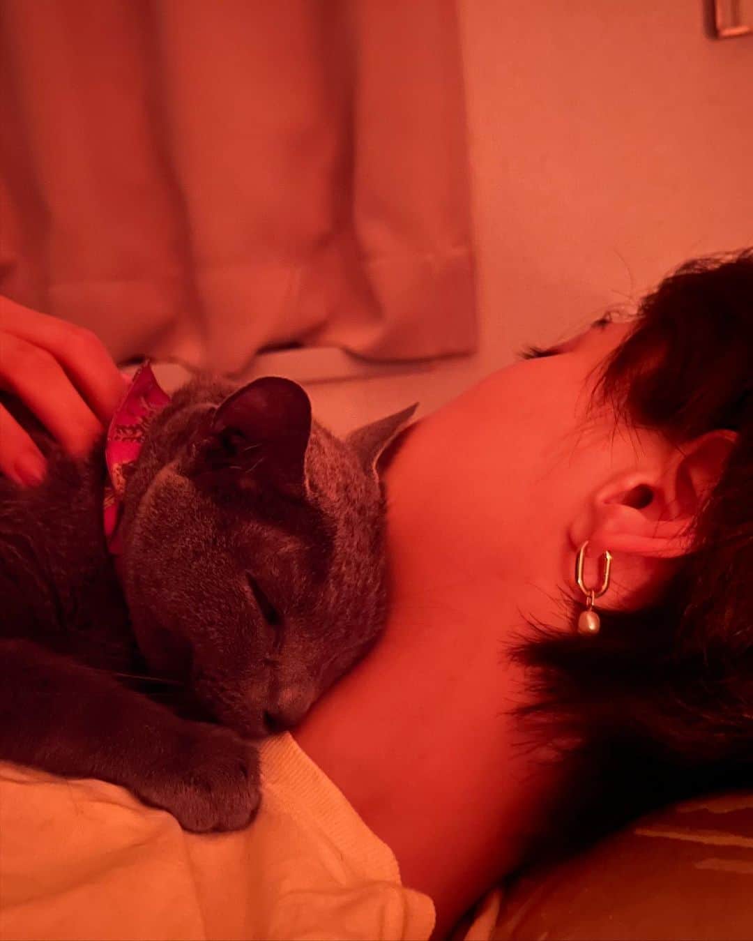 坂田梨香子さんのインスタグラム写真 - (坂田梨香子Instagram)「_ 【ご報告】  ストーリーではお知らせしましたが、 6/21 AM5:00 愛猫のもずくが虹の橋へ旅立ちました🌈 9歳9ヶ月、あと3ヶ月で10歳でした。  元々腎臓病ではあったものの、先月までの血液検査などは問題なく、 数日前まで元気でしたが前日に動物病院に行ったのが最後、その後容態が急変して救急病院にて急逝でした。せめてもの苦しむ時間が短かったことが救いです。 亡くなる直前、わたしの顔に腕を伸ばしてきました。 それがもずくの最期でした。 そのあと呼吸が止まりました。 20分の心肺蘇生が限度らしいのですが20分間の蘇生中、声をかけ続けました。20分たったとき、一瞬だけ心電図に動きがあり、先生が延長で蘇生を懸命に施してくれましたがその後意識が戻ることはありませんでした。 ですが、その一瞬、もずくは私たちに懸命にお返事をしてくれたのだと思います。 夫婦揃ってる時に看取らせてくれ、負担をかけないようにときっと思い遣ってくれたのだと思います。猫はよく亡くなる姿を飼い主に見せないと言いますが、もずくは最後の最後まで優しい子でした。 私にとって猫と家族になることはもずくが初めてで、自分より大切な我が子のような存在でした。  しばらくの間、時間感覚、睡眠欲、食欲、気力、体力、思考、 こんなになくなるものなのかというくらい無の時間を彷徨う日々でした。  これまで見守ってくださいました皆様、お悔やみのお言葉をかけてくださった皆様、心よりお礼申し上げます。 なかなか投稿できずお礼が大変遅くなりすみません。  亡くなってから火葬までの2日間、ひっきりなしにもずくに会いに、親しい友人、仲間、先輩が来てくれました。 まるで計画してくれていたかのようにわたしが1人きりになる時間が奇しくも殆ど無く、また来てくれた人たちが重なる事もほとんどなく、お話ししたり、もずくとの最後を偲んでくれました。 とってもありがたかった。 沢山のお花やおもちゃ、おやつなどのプレゼントでどんどんもずくの周りが賑やかになって、うちじゃないみたいに華やかにしてもらって それまで深い悲しみの中に居た私達夫婦も人の想いのおかげでどんどん心の負担が軽くなりました。 もずくも人が大好きだったのでおかげで寂しさを感じずに送り出せたと思います💐 感謝してもしきれない忘れられない日になりました。 ありがとうございました。  火葬する前夜は夫婦2人で かたちがまだ残るもずくを沢山抱っこして、話しかけて撫でて、たくさんキスして、いつものようにもずくのおてて握ったまま、一緒に川の字で寝ました　寝るのが惜しくて、ずっと寝顔を見ていました 6/23の火葬当日は雨予定だったのが、晴天とはならずとも曇りになり、もずくっぽくて笑えたなあ  皆んなから貰ったお花の中で眠るもずくを見て 泣きながら可愛い、 愛おしいと思いました。 お骨になって帰ってきたもずくも可愛いと思いました。 短いと思ってた尻尾は意外と長くてびっくりしました。 全部可愛いよ、もーちゃん。 今も可愛くて仕方ないよ 悲しくないけど寂しいよ〜  もずくは何をするにも四六時中べったりで甘えん坊だなと常々思ってたけど 夫や友達に梨香子ちゃんの方がもずくに甘えん坊だったんだよって言われて衝撃だった😂 全く気付いてなかったけど腑に落ちた。もずくごめんね、ありがとう🫶  もずくに最後読んだ手紙に、伝えたい気持ちは込めたつもりだけど思い出って無限に溢れてくるなー 改めて何度振り返っても一日一日、きらきら光り輝いてかけがえのない日々でした⭐️  もずくに会えて嬉しいよ 楽しかったよ。 辛い時もそばに居てくれてありがとう💐 またもずくに必ず会いたいよ 会いに行くまで待っててね もずくのおもうようにしたらいいよ そばにいたいうちはそばにいてね 愛してるよ。」6月30日 15時49分 - rikakosakata_official