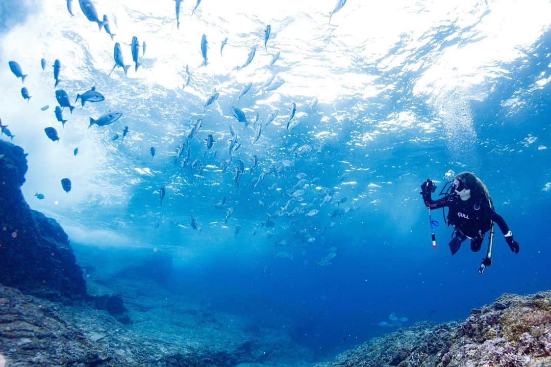 一条あかねのインスタグラム：「. 沖縄海の中ステキすぎる！！！ アリエルになりたい💭🩷 . #沖縄 #慶良間諸島 #慶良間ブルー  #慶良間ダイビング #ダイビング」