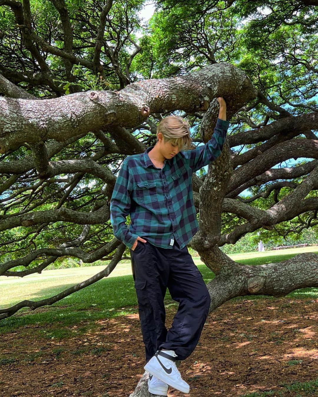 高澤笑大郎さんのインスタグラム写真 - (高澤笑大郎Instagram)「皆さんお元気ですか？ 僕にカバーダンスしてほしい曲はありますか？1人で考えていると、自分の好きな曲ばかり選んでしまうので、よかったら皆さんのリクエストを教えてください😂  How are you today :) Do you guys have any dance cover requests that you want me to do? I honestly don’t know what to do lol😅 Help meh  Shout out to this tree by the way for letting me take photos🌳👍  #Crossingrain #XR #xr #boyband #Hawaii #Oahu #Aloha #Music #Japan #Honolulu #Hilo #Kpop #Jpop #rap #singing #dance #have #courage #and #be #kind #ありのまま」7月1日 2時46分 - xr_shotaro