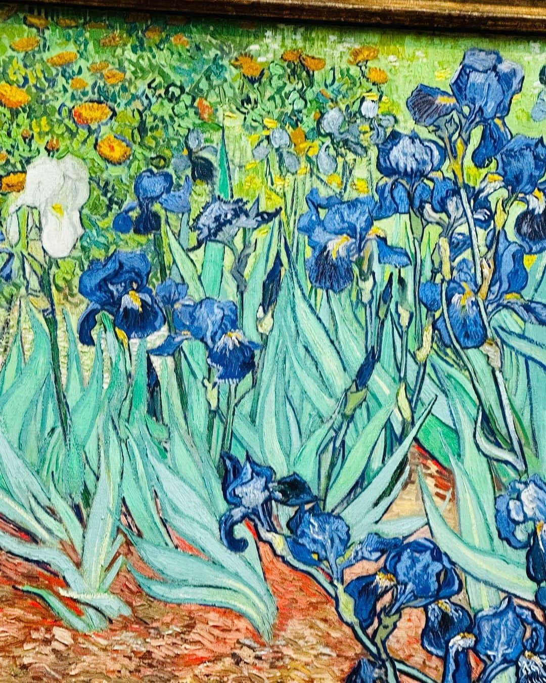 ?????????????????????? - (??????????Instagram)?Для меня LA сейчас ...