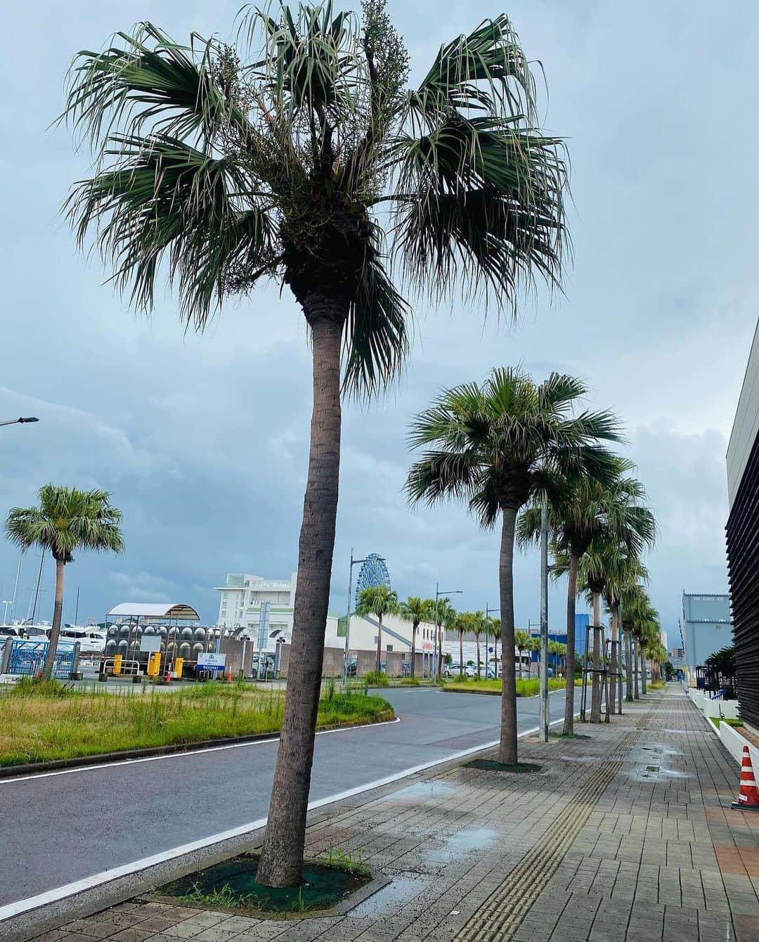 さきえさんのインスタグラム写真 - (さきえInstagram)「. 旅行すると 今のところ百発百中で 雷鳴&豪雨セット当ててます。  . #福岡県 #博多市 #雨女 #楽水園 #日本庭園 #西福岡マリーナ #オーシャンビュー #リゾート #豪雨 #池泉廻遊式庭園」6月30日 18時31分 - sakie110