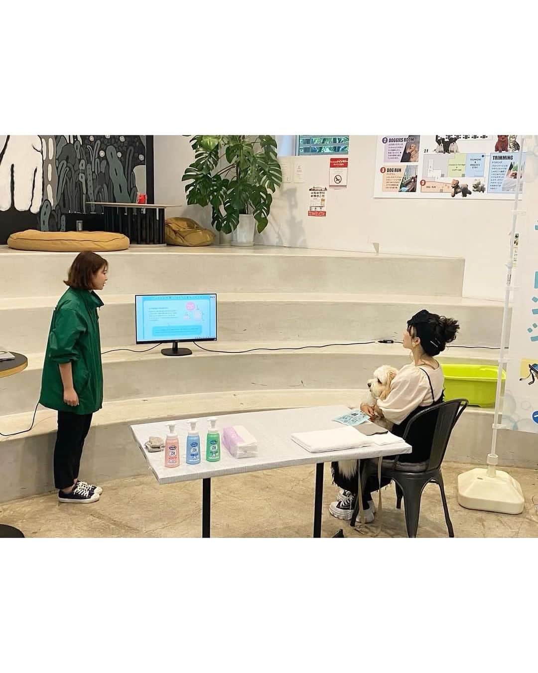 あんちゃんさんのインスタグラム写真 - (あんちゃんInstagram)「シャンプー体験🧴🐶✨  先日行われた 『もふもふ洗いチャレンジ体験会』  あんちゃんと一緒に 参加してまいりました🛁🐾  カメラ向けられ得意気なあんちゃん 可愛くて写真いっぱい撮っちゃった🤭💕  普段のシャンプーは ほとんどプロに任せている我が家。 （２〜３週に一度サロン行ってます）  ただあんちゃんのインスタストーリーを 頻繁にみていただいてる方はご存知の通り…  お散歩での パパとの公園遊びが激しすぎて アンヨどろんこになりがちなあんちゃん🤣🐾  アンヨを家で洗うことが多いのもあり 今回参加を決めました❤️  あんちゃんと一緒にお勉強🐶👩🏻 （５.６枚目写真）  ワンちゃんの皮膚が薄くデリケートなこと。  低刺激性のシャンプーを選ぶだけなく 負担をかけないような洗い方が大切なこと。  ゴシゴシ擦ると皮ふの負担になるので たっぷりの泡でやさしく マッサージするように洗うこと。  シャンプーの原液を直接つけて 毛で泡立てるのではなく （👆これやってしまってた🤦🏻‍♀️💦） 泡立てた泡のほうがいいということ。  などなどなど… 改めてちゃんと学べました☺️  今回使ったシャンプーは ライオンペットさんの 『ペットキレイ 泡リンスインシャンプー』  そう。 泡で出てきてくれるタイプ😳👏✨ 泡だてる必要が無い！！！ 便利！！！！！  しかも思ってたより もっちり泡で ヘタらないのがよかったです🫧  あと！ 何と言っても 泡切れが良くて感動した🥹✨  シャンプーを原液でつけてた時 ちゃんとシャンプー落ちてるか心配で 何度も流してたけど… これ本当サラッと流れる😳🚿✨✨  そしてキツくない 優しい爽やかな良い香り🤍🫧  使いやすさも 使い心地も良かったです🥰  あんちゃんもご満悦🐶❤️  この時の様子は 「いぬのきもちWEB magazine」で 7月頃に公開されるそうです✨  あんちゃん可愛く写ってるかな🤭？ （私も少しはマシに写ってると良いな…🙂笑）  ちなみに ７枚目が体験中のあんちゃんです🐶🫧  大人しくされるがままで お利口さんでした🤣🤣  「何だ何だ？？ 何されるんだオレ🙁」  って困惑してる顔で可愛い。笑  終わったあとは フォトスポットでニコニコショット🐶🎶 （最後の写真）  楽しかったみたいで とってもご機嫌でした🤭❤️  記事が公開されたら またお知らせしますねーっ🌼  #PR #もふもふ洗いチャレンジ体験会 #もふもふ洗いチャレンジ #もふもふ洗い #ライオンペット #ペットキレイ #いぬのきもち #キャバションあんちゃん #あんちゃん #キャバション」6月30日 18時30分 - anchan_0115_andy