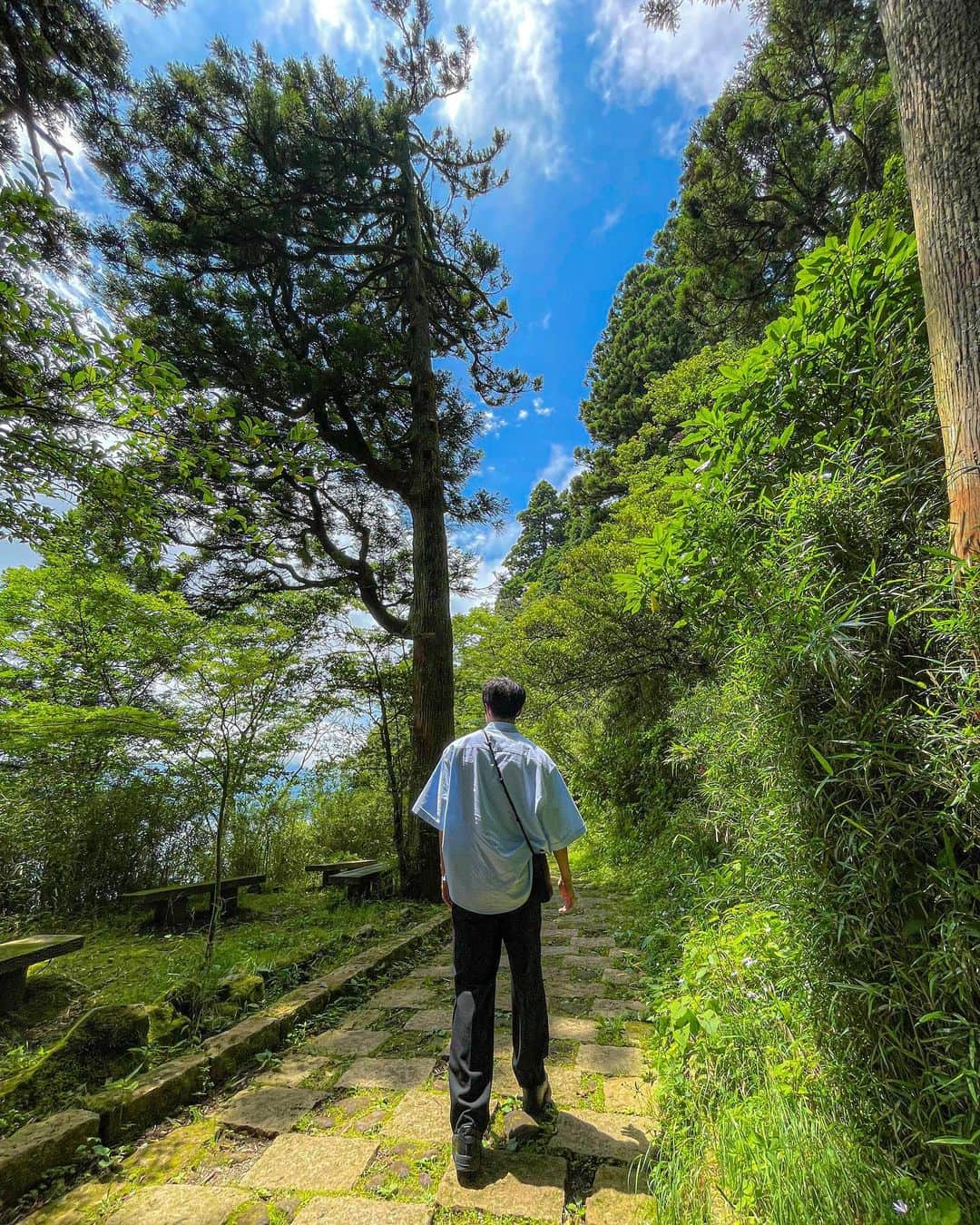 多田修平のインスタグラム：「🌳」