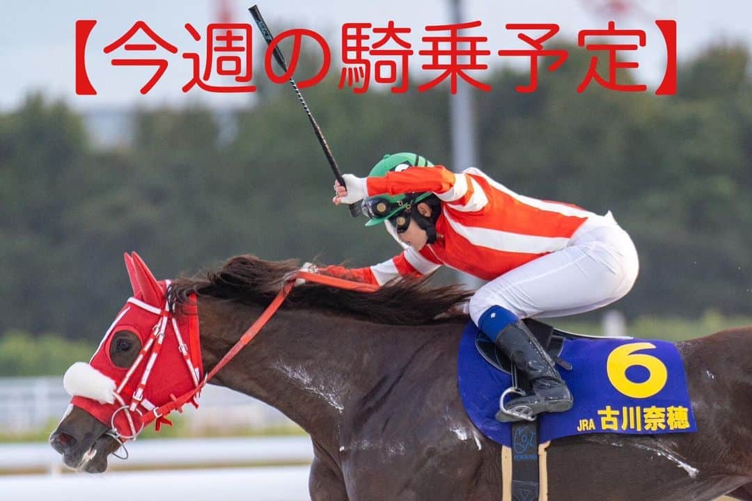 古川奈穂のインスタグラム：「【騎乗予定】 《7月1日土曜日函館競馬場5鞍》 1R アオイエクラタン 2R デルマツキオトシ 5R センタービット 10Rレディベル 11R タイセイグラシア  《7月2日日曜日函館競馬場5鞍》 1R スリータイガー 3R メリタテス 4R エンジェルアスク 8R タケトンボ 12R シエラメンテ  【騎乗結果】 《6月24日土曜日函館競馬場3鞍》 3R マジカルフラワー 16着 8R フレンドキング 13着 10R アスクビックスター 2着🥈  《6月25日日曜日函館競馬場5鞍》 1R ガンバリーレ 15着 3R リーゼントミニー 4着 4R シンギュラチャーム 12着 6R シュテルンロット 6着 12R アイヲツグモノ 8着  皆様、日々ご声援頂きありがとうございます。 今後とも応援のほど、よろしくお願いします！  #騎乗結果  #騎乗予定  #スタッフ投稿  #古川奈穂  #jra  #騎手  #ジョッキー  #jockey  #競馬  #horseracing  #馬が好き #馬好きさんと繋がりたい  #馬好きな人と繋がりたい  #馬  #horse  #7月  #一走入魂  #2023年 #函館  #函館競馬場」