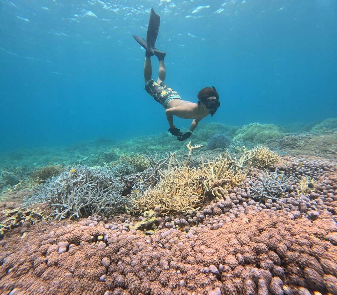 大倉士門のインスタグラム：「石垣島の海と僕です🏖️🤿 新しく買ったスーパーミューのフィンも旅行に持って行くのにちょうど良いサイズ😊ロングを持っていくのが大変な時はえぇね✨ そして綺麗な海。最高。 この旅行はダイビングなしで素潜りばっかし🐠手軽で楽しいね〜🥰 この夏もたくさん行きましょう！！🏝️」