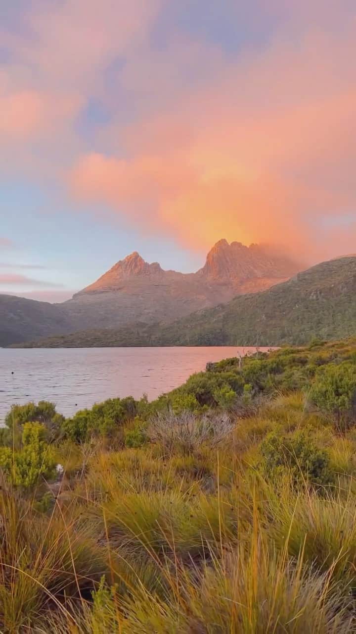 Australiaのインスタグラム：「Tassie’s fairy floss skies are our ultimate sugar rush 🍭😍 Kudos to @thesimplefolk_ for capturing this picture-perfect scene on a recent visit to @tasmania’s Cradle Mountain-Lake St Clair National Park. This natural wonderland in @visitnorthwesttasmania offers up breathtaking views and some seriously epic hikes. Tip: book a stay at @wildernessvillage, @cradlemountainhotel or @tinyescapes.cradlevalley to make sure you don’t miss a spectacular sunrise like this.   🎥: @thesimplefolk_   📍: Cradle Mountain-Lake St Clair National Park, @visitnorthwesttasmania, @tasmania   #seeaustralia #comeandsaygday #discovertasmania #northwesttasmania」