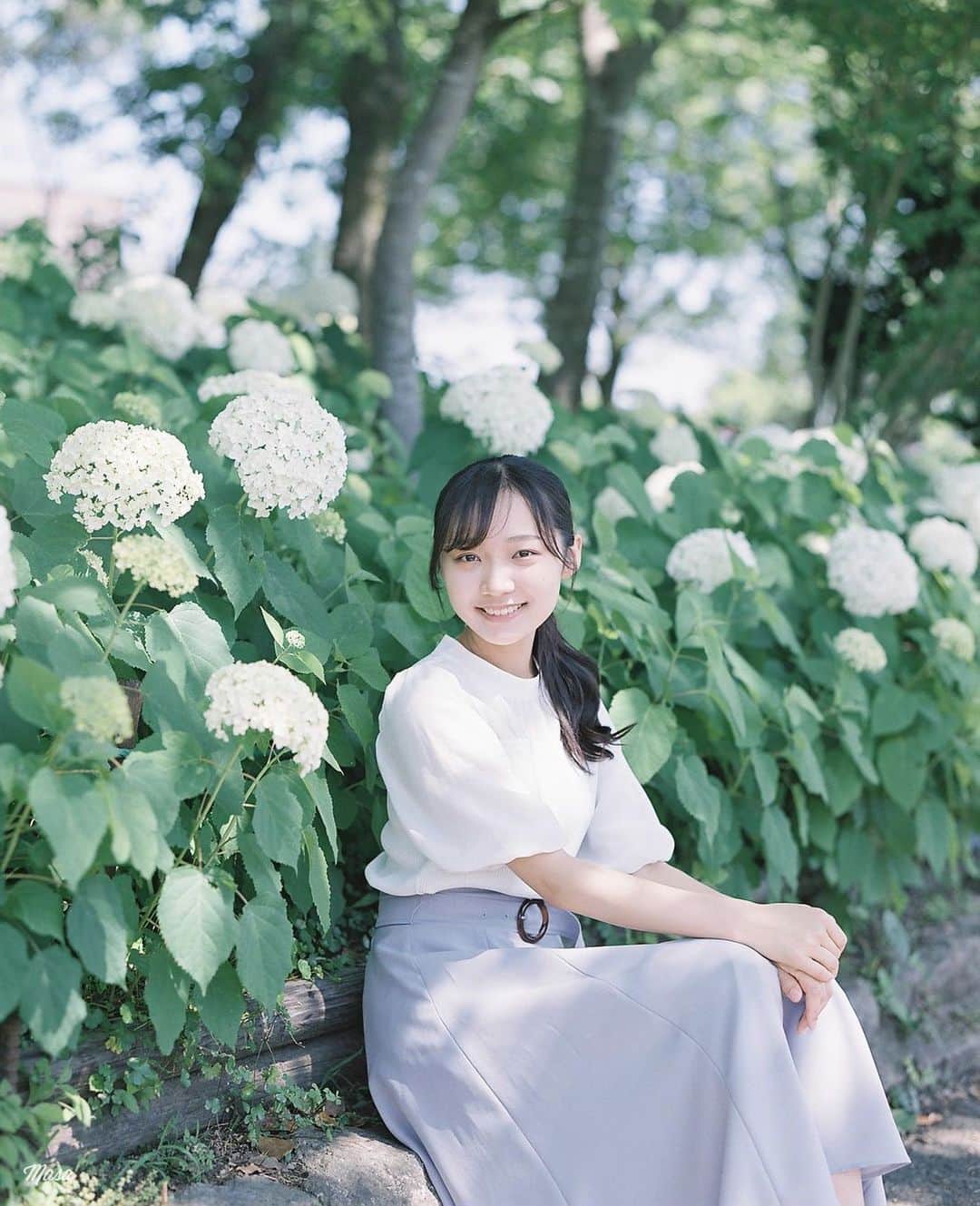 Masaのインスタグラム：「.  ▶︎▶︎▶︎ Swipe  All：Pentax6x7  Super Takumar 105mm F2.4 #pro400h  これぐらいの木漏れ日、最高☺️✨  撮影日 : 2023年6月17日  #まさペン#エビプリ #pentax6x7 #pentax67 #バケペン #中判フィルム #film #filmcamera #filmphotography #フィルム #フィルムカメラ#フィルム写真 #igersjp #portrait #ポートレート #filmisnotdead #滋賀 #shiga #紫陽花 #芦刈園 #もりやま芦刈園 #hydrangea #アナベル #anabel」