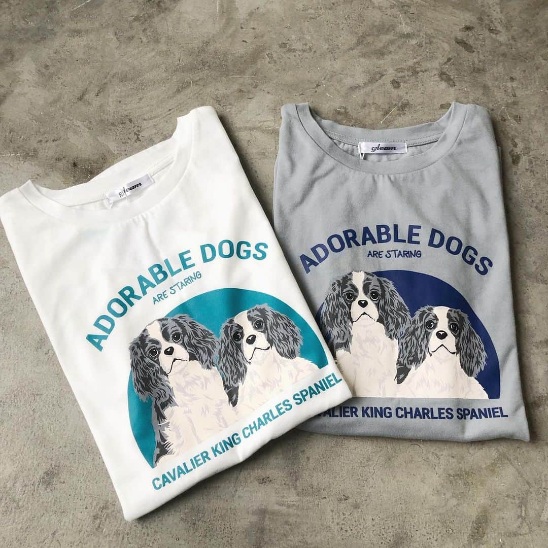 イーザッカマニアストアーズのインスタグラム：「. ＼ 📣  NEW ITEM ／  キュートなワンちゃんがプリントされた ビッグTシャツ🐶  キャバリアという イギリス王室に愛された犬がモチーフのアイテム。 犬好きさんにはたまらない1枚です💖🦴  DOGプリント BIG TEE 🔎2300341 ¥3,190 着用モデル off white 163cm / ice white 157cm  ⁡ #ezakkamaniastores#イーザッカマニア#イーザッカマニアストアーズ#Tシャツ#プリントT #犬#いぬ#イヌ#わんこ#キャバリア#キャバリアキングチャールズスパニエル#今日のコーデ#シンプルスタイル#シンプルコーデ#カジュアルスタイル#神戸ファッション#コーディネート #夏コーデ #夏服コーデ」