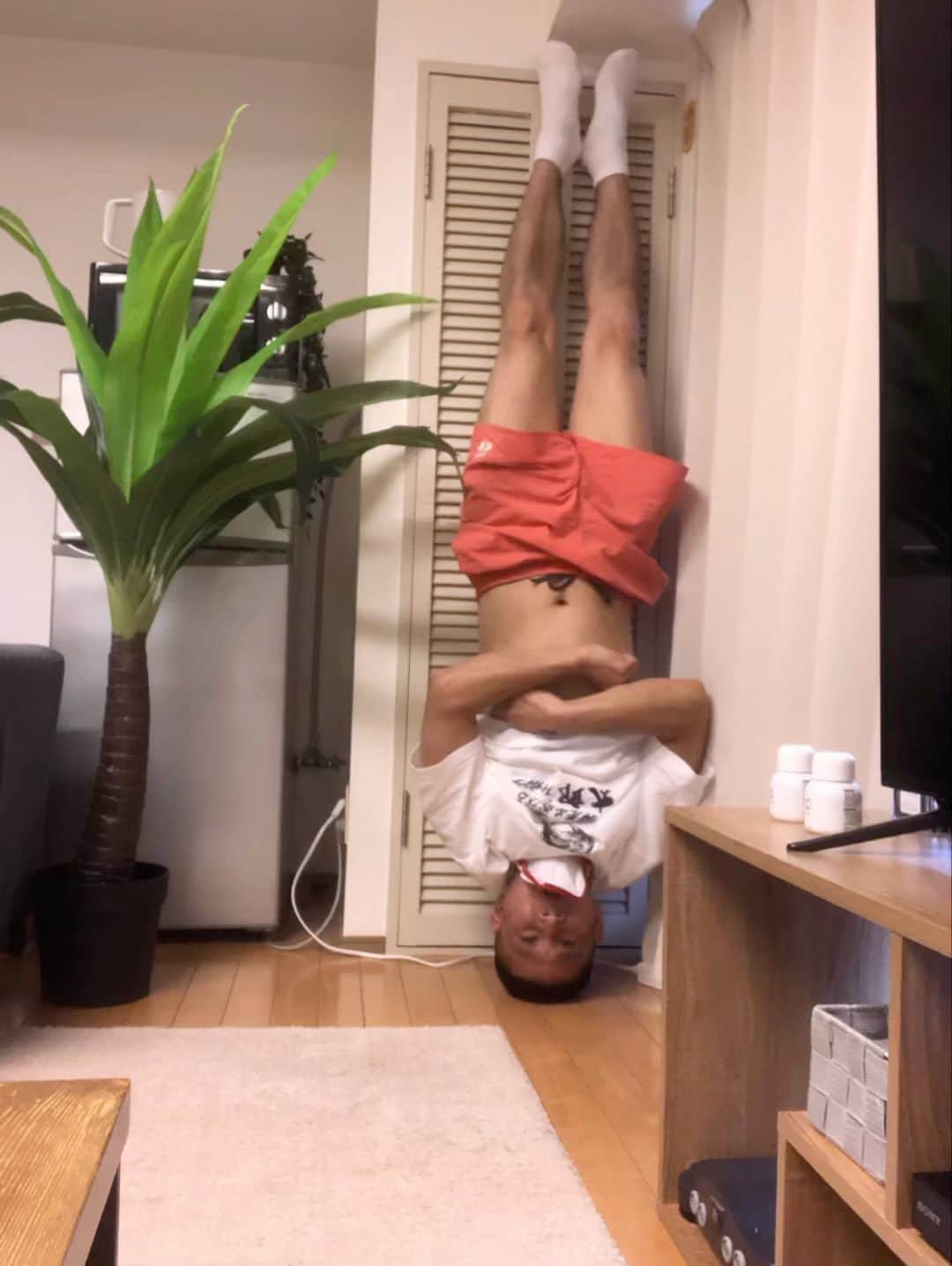 おたこぷーのインスタグラム：「よろしかったら、どーぞ！ #天地 #逆」