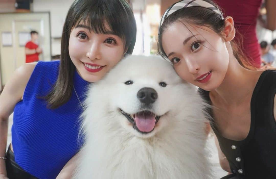 のインスタグラム：「弘大のサモエドカフェ🇰🇷🐶Samoyed Cafe in Kodai of Korea. ⁡ ⁡ 韓国で今流行りのスポットらしく平日でも大盛況🐶 ⁡  もっふもふのサモエドがところかしこを歩き回っている お犬天国🐕❤️（気性が荒いポメも1匹だけ居ました） ⁡ 1人ずつエサを貰えるので好きな子にあげる事もできます◎ ⁡  写真なども撮って貰えたり サモエド達をこちらに誘導してくれたりと スタッフさん達の親切な対応も印象的でした✨ ⁡ ⁡ 12,000ウォンで好きなだけ滞在できるのも良心的。 サモエドちゃん達可愛すぎてお迎えしたくなる…🥹 ⁡ ⁡  #韓国#韓国旅行#韓国旅行記 #サモエド#サモエドカフェ #海外旅行 #旅行好きな人と繋がりたい#タビジョ#koreatravel #travelaboard #overseatrip#japanese #trip#tripgram #旅游#여행스냅」