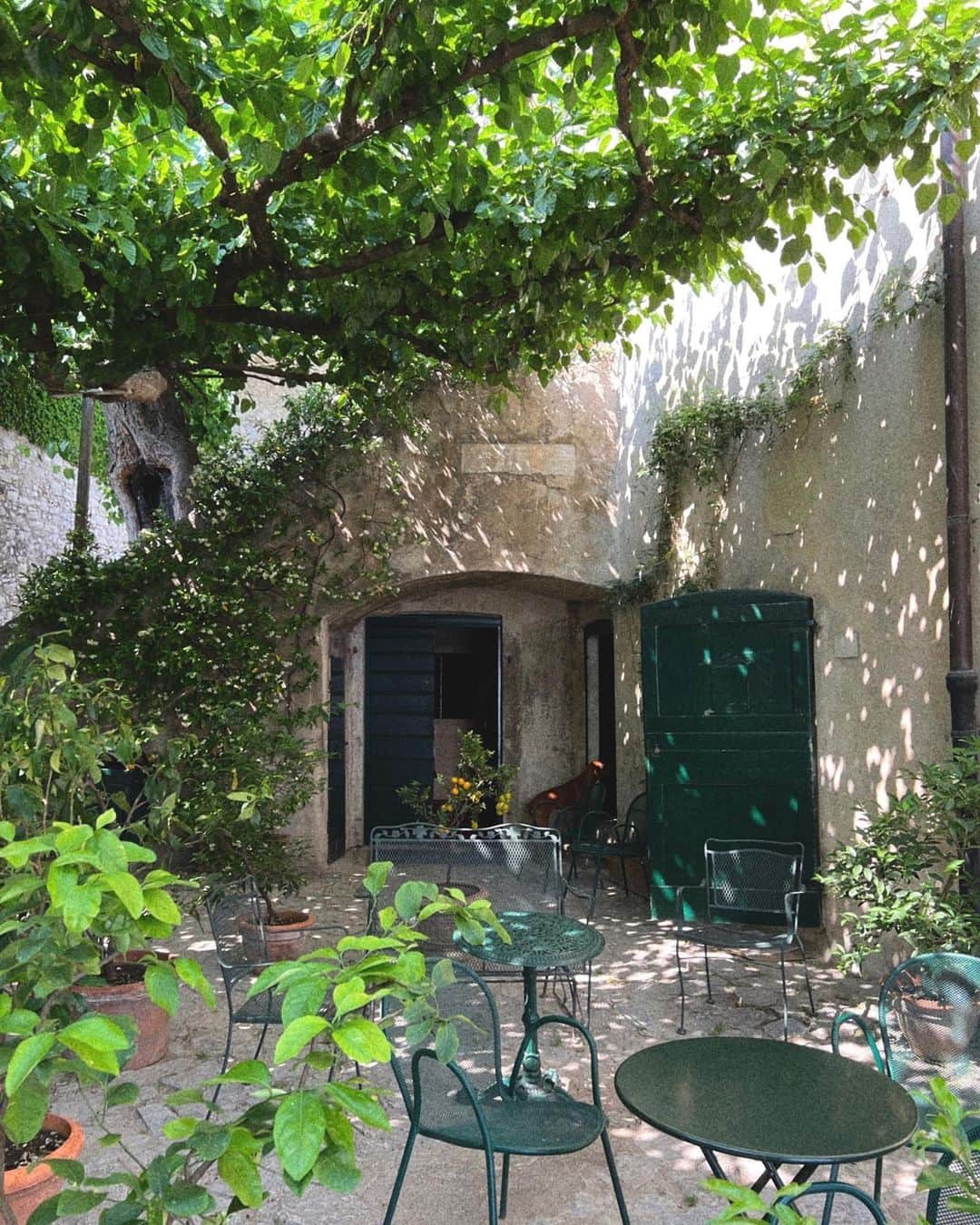 エミ・レナータのインスタグラム：「リラックスするのに居心地のいいスポット . A cozy spot to relax.」